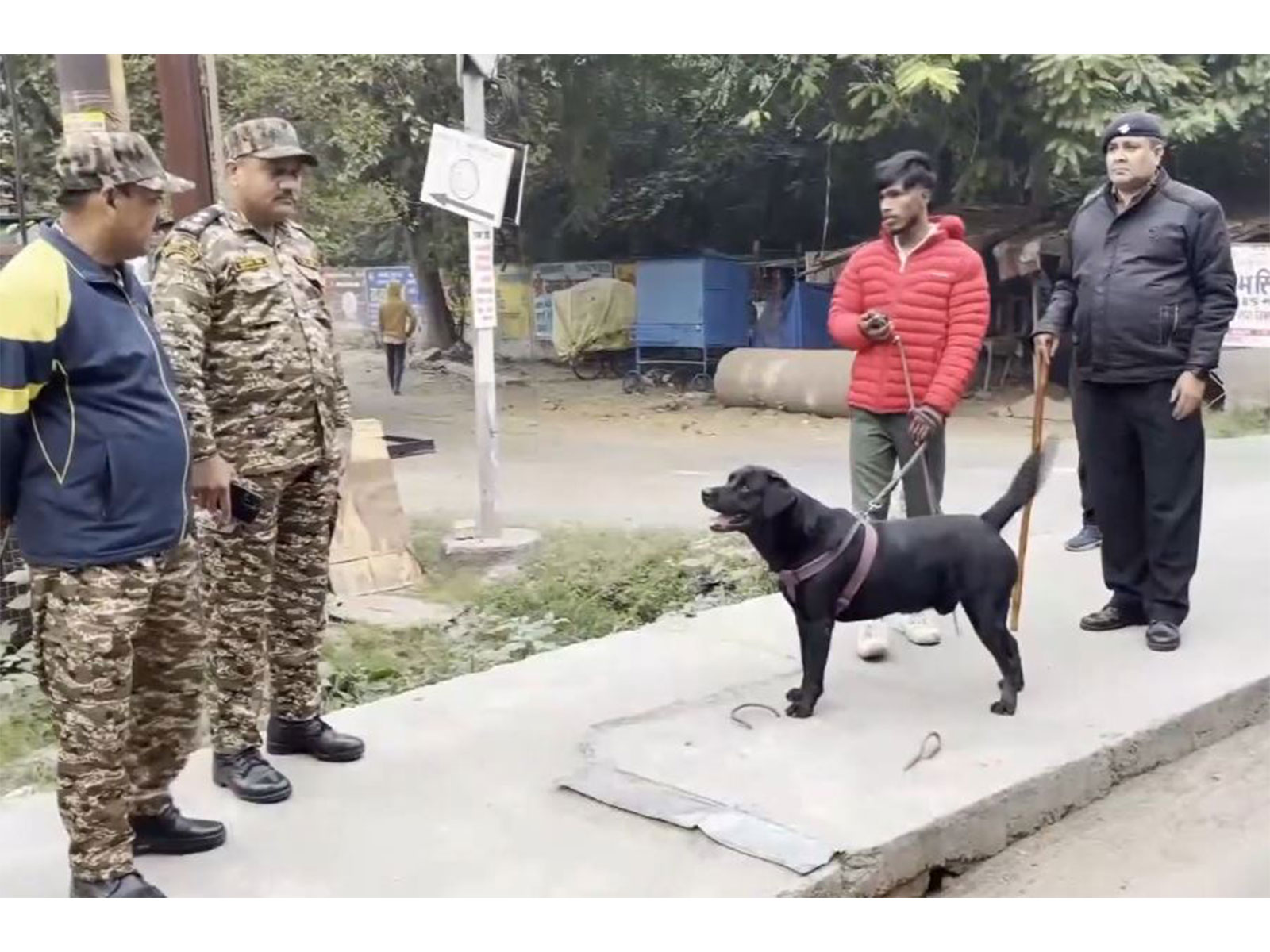 Lucknow cracks down on unlicensed dog walkers in Indira Nagar (Photo/ANI) Lucknow cracks down on unlicensed dog walkers in Indira Nagar (Photo/ANI)