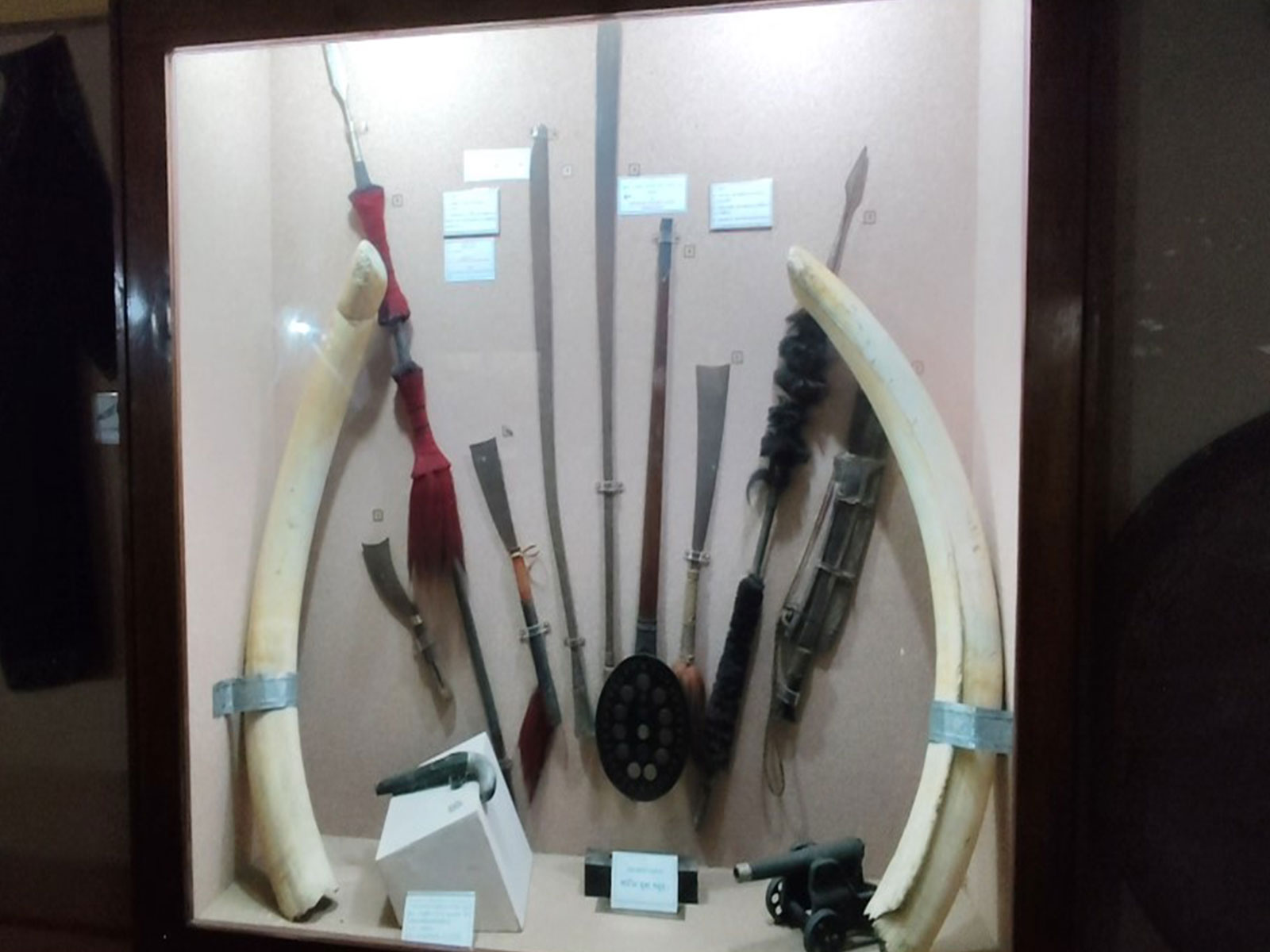 Historic Hengdang sword of Assamese national hero draws visitors to Auniati Satra  (Photo/ANI)