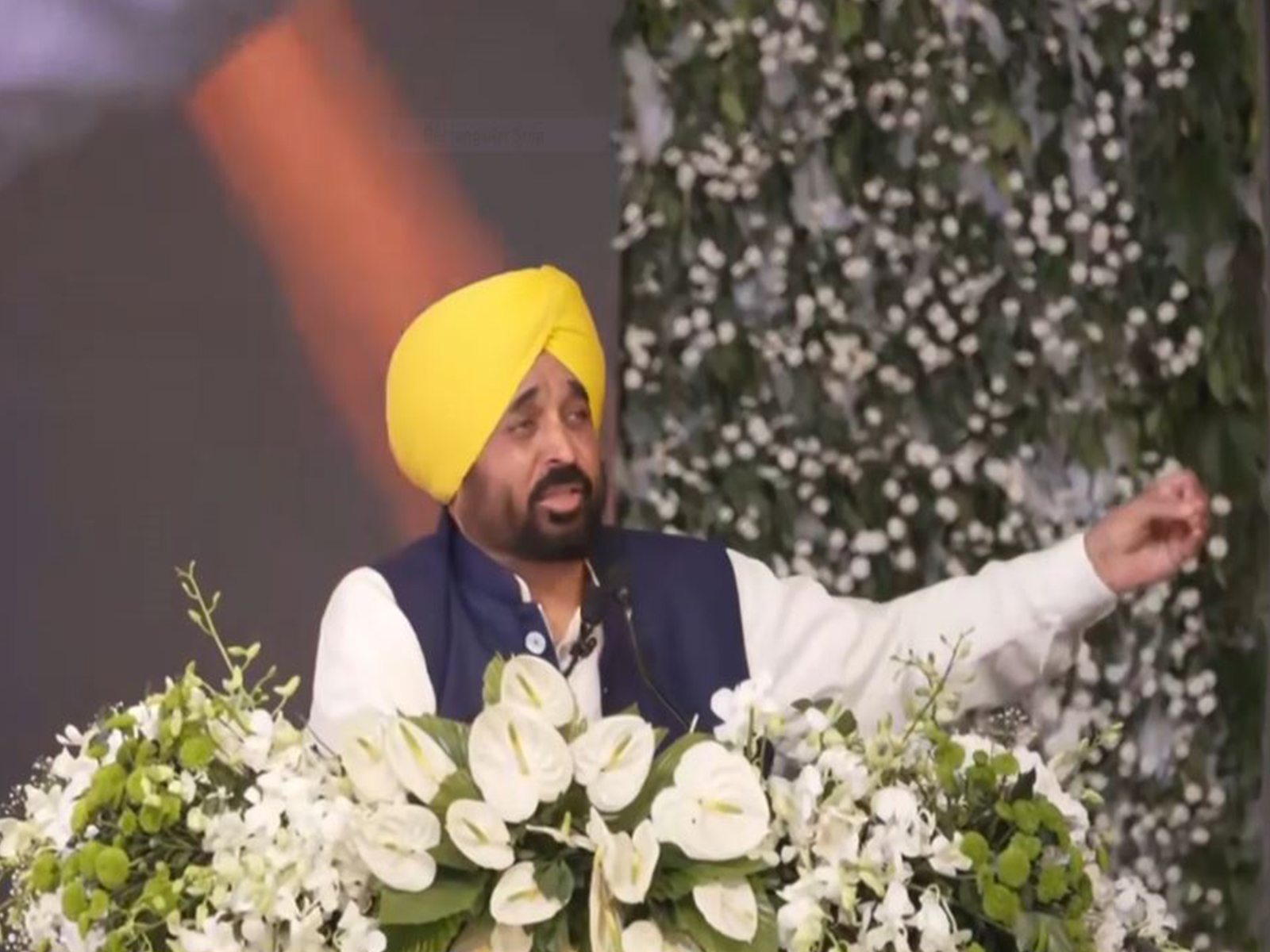 Punjab Chief Minister Bhagwant Mann (Photo/ANI)