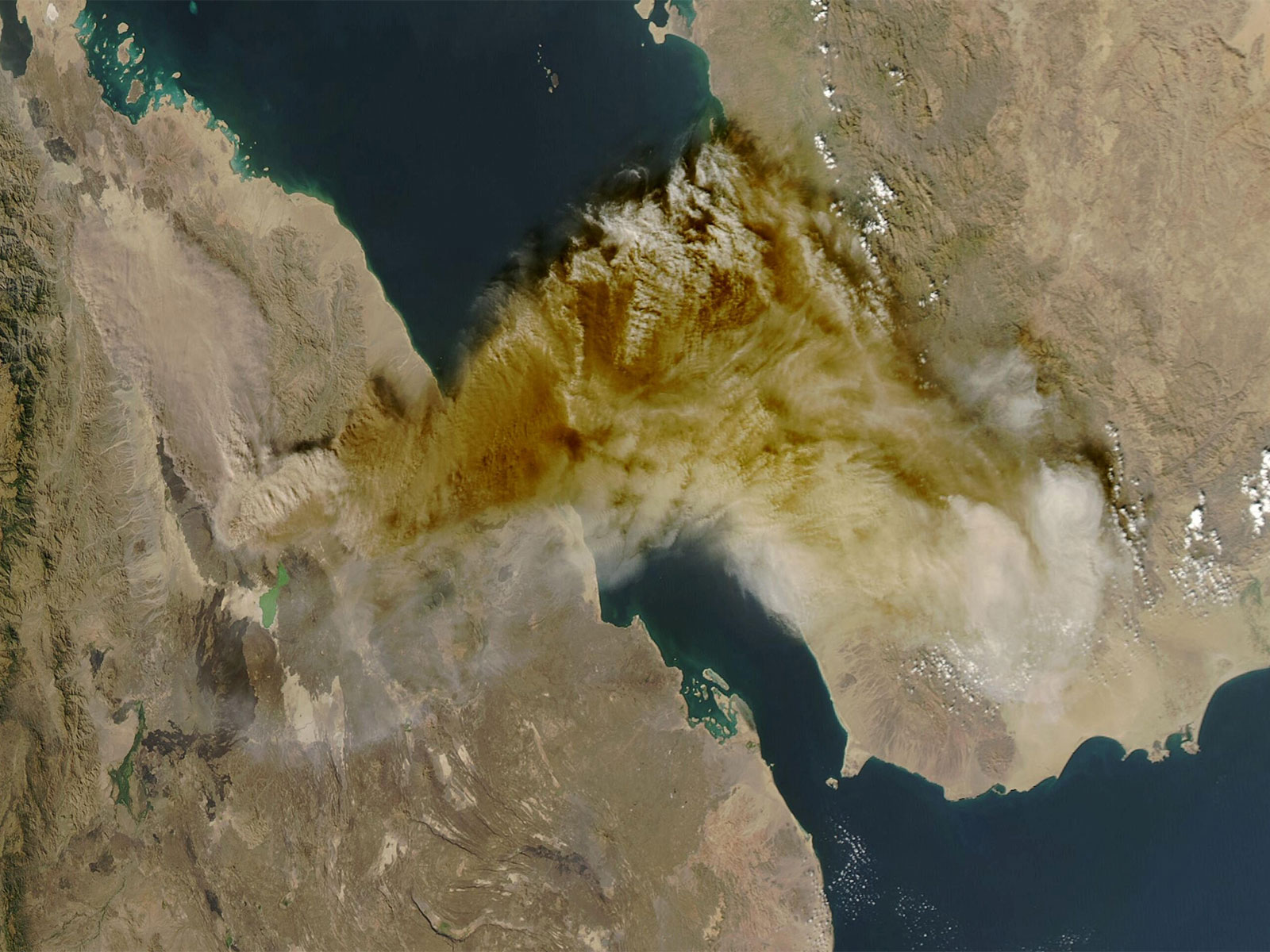 A satellite image shows ash rising from the eruption of the Hayli Gubbi volcano in Ethiopia as it drifts over the Red Sea (Photo/Reuters)