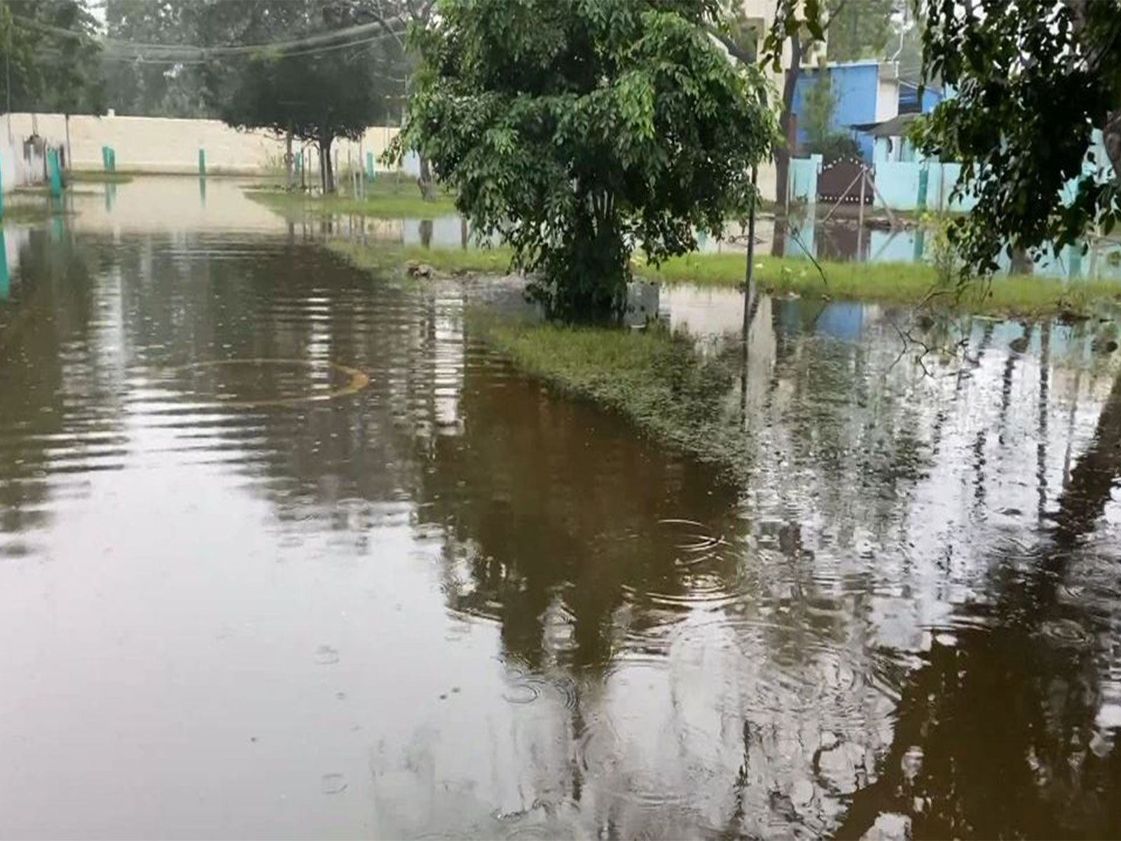 Heavy rainfall triggers waterlogging in several parts of Thoothukudi (Photo/ANI) Heavy rainfall triggers waterlogging in several parts of Thoothukudi (Photo/ANI)