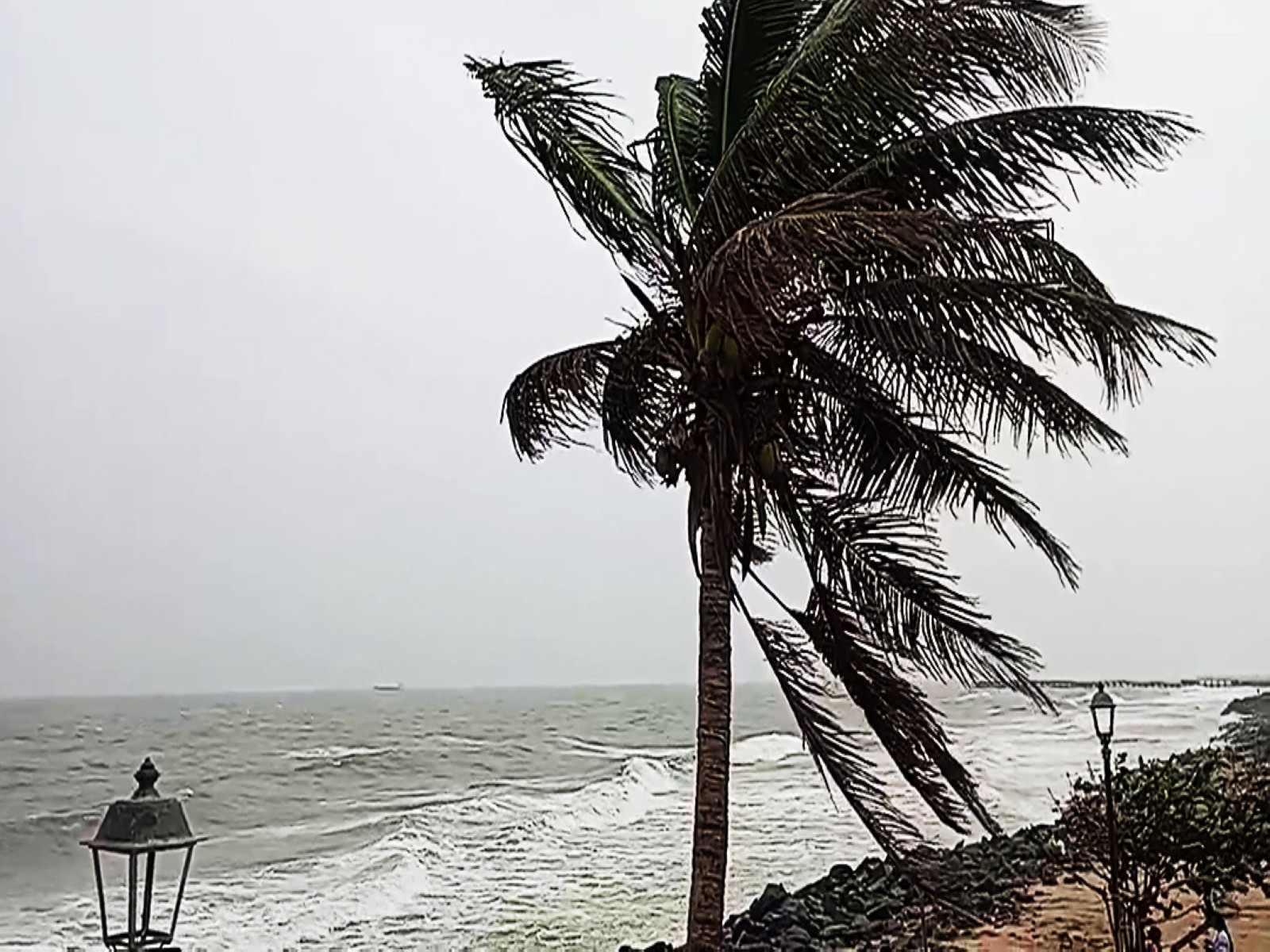 Strong winds and high tides triggered by Cyclone Ditwah (File Photo/ANI)