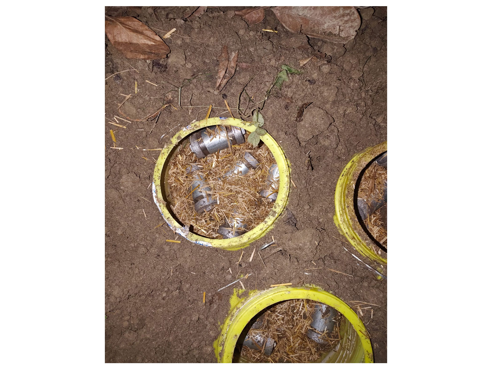 Socket bombs recovered in Murshidabad, West Bengal (Photo/ANI) Socket bombs recovered in Murshidabad, West Bengal (Photo/ANI)