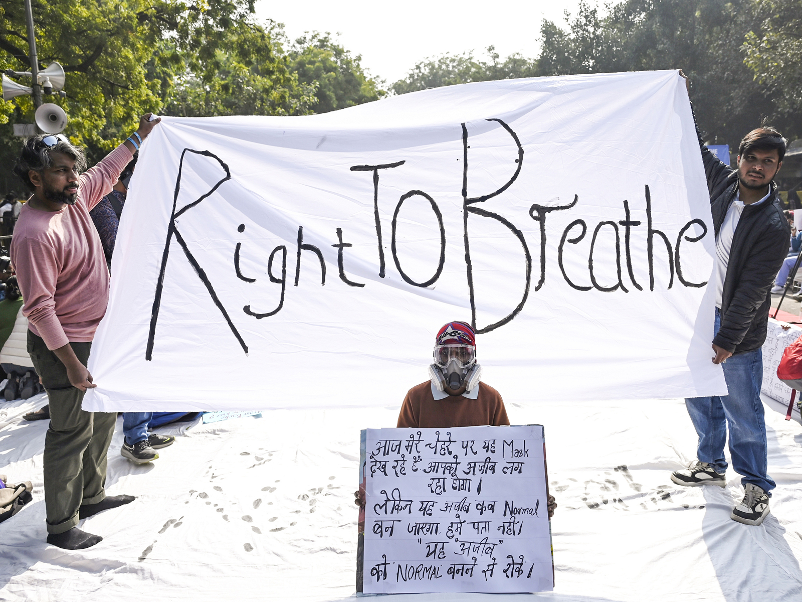 Representative Image (Photo/ANI)