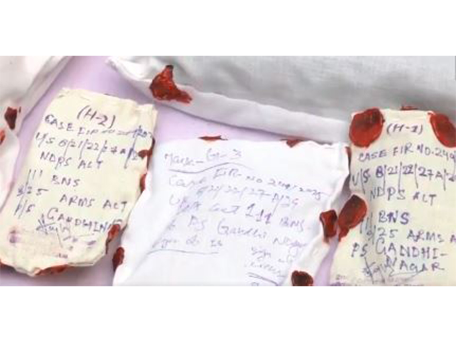 J&K Police bust narco-terror module in Jammu (Photo/ANI)