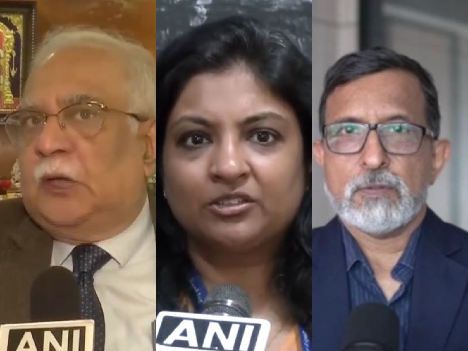 Manoranjan Sharma of Infomerics Ratings, Sneha Poddar, VP Research, Motilal Oswal Financial Services and Dharmakirti Joshi, Chief Economist, CRISIL Limited (Photo/ANI)