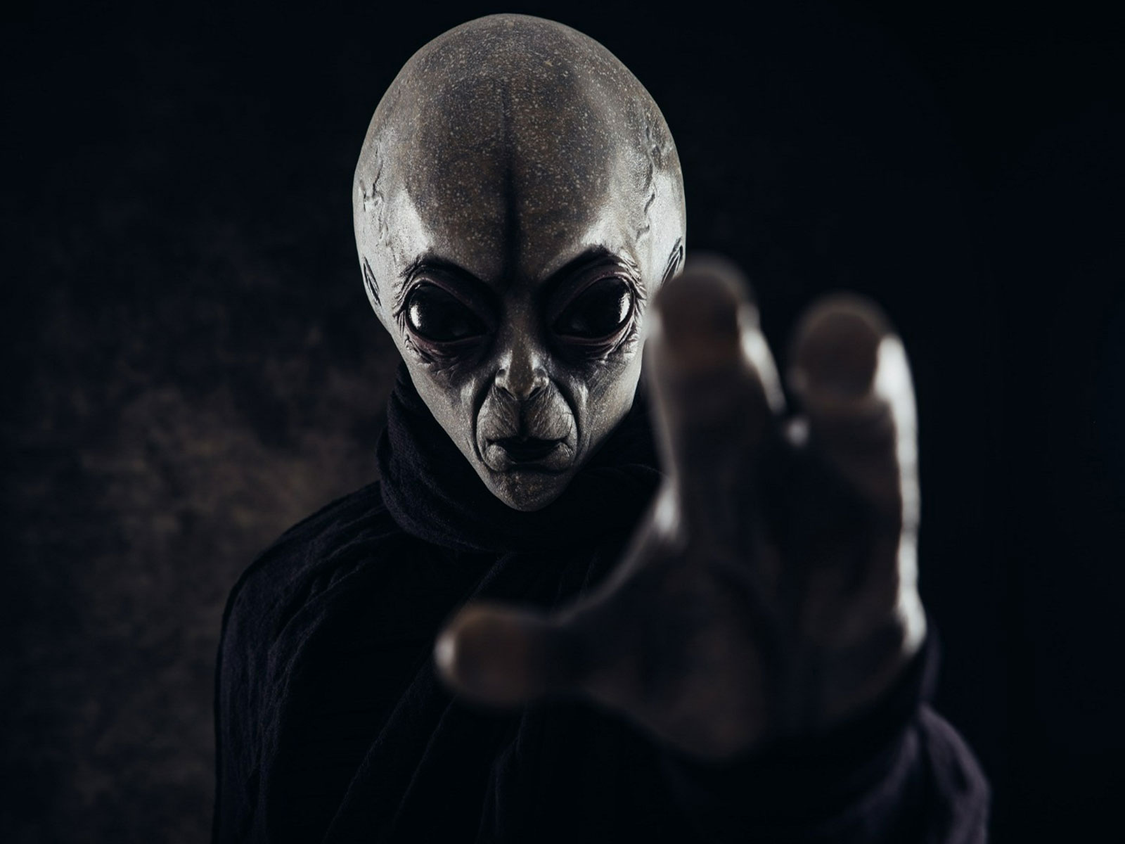 Representational Image (Photo/ANI) Representational Image (Photo/ANI)