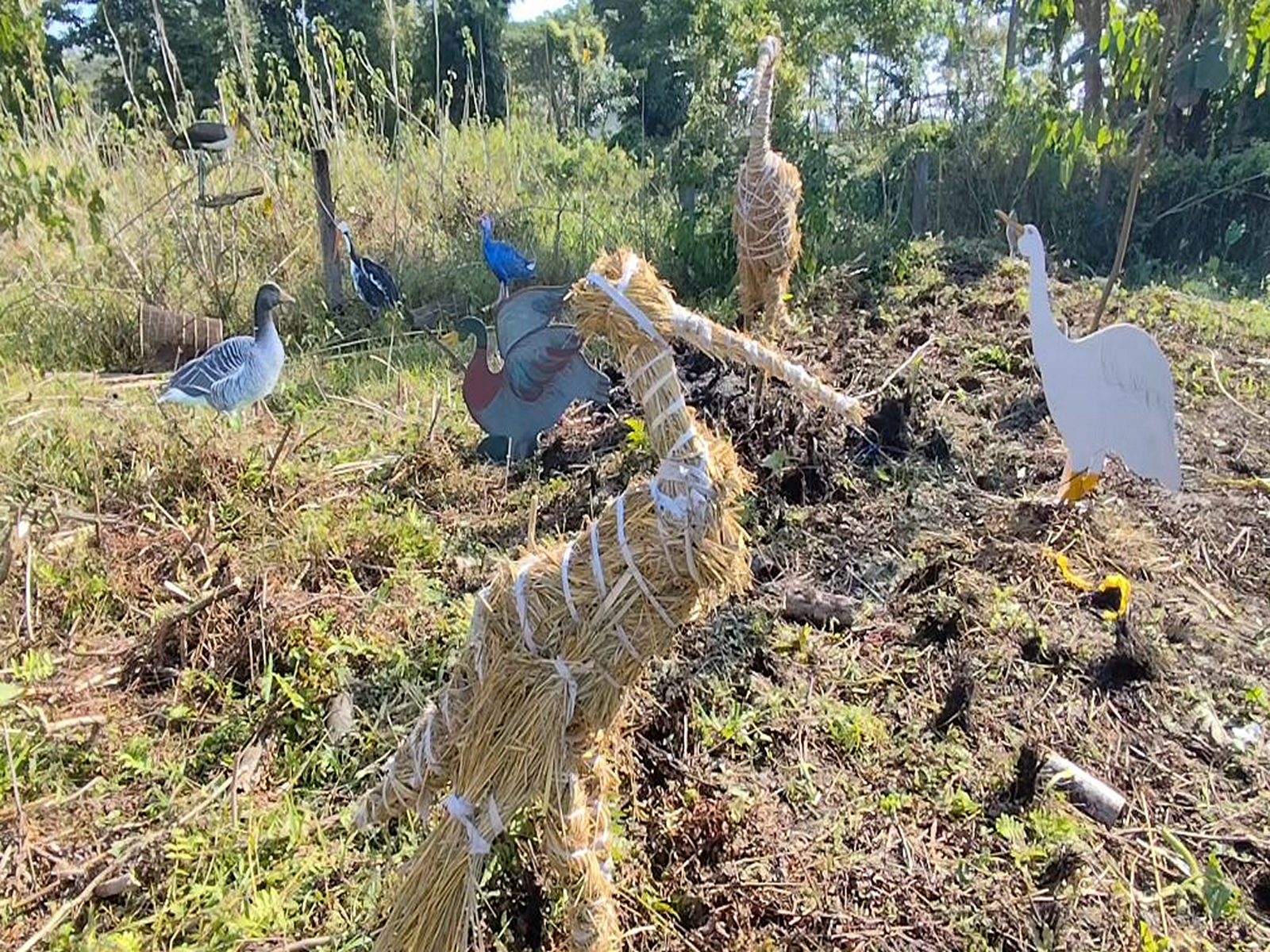 Charaichung Festival (Photo/ANI) Charaichung Festival (Photo/ANI)