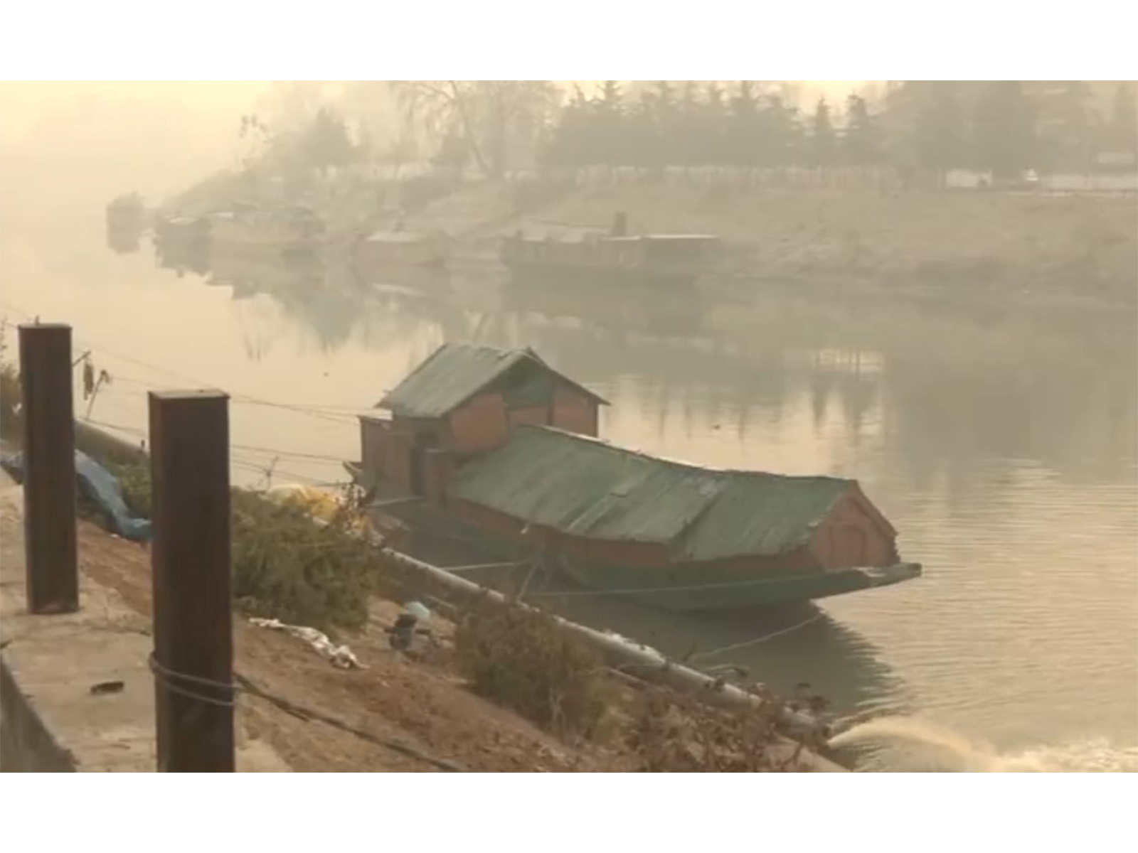 Dense fog amidst cold wave in Kashmir Valley (Photo/ANI) Dense fog amidst cold wave in Kashmir Valley (Photo/ANI)