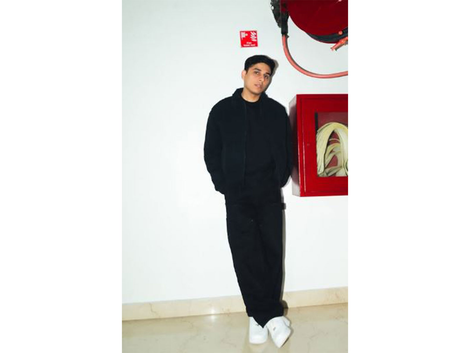 Singer Anuv Jain (Image source: Anuv's Instagram) Singer Anuv Jain (Image source: Anuv's Instagram)