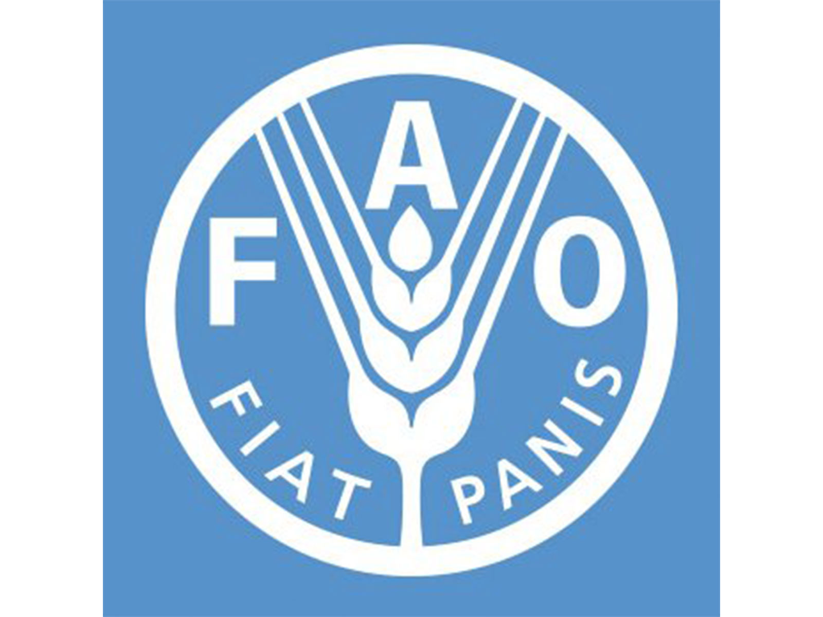 Representative Image (Photo/ X@FAO) Representative Image (Photo/ X@FAO)