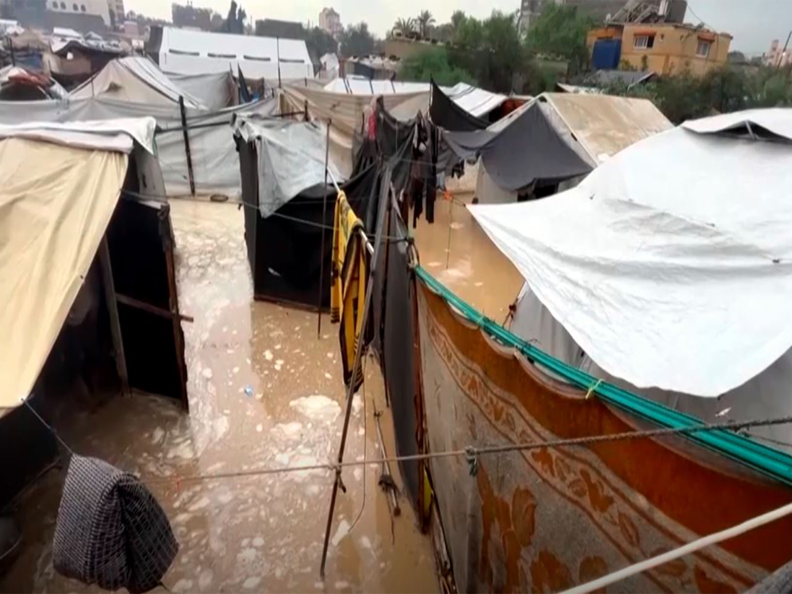 Severe weather kills 14 in Gaza (Photo/Reuters) Severe weather kills 14 in Gaza (Photo/Reuters)