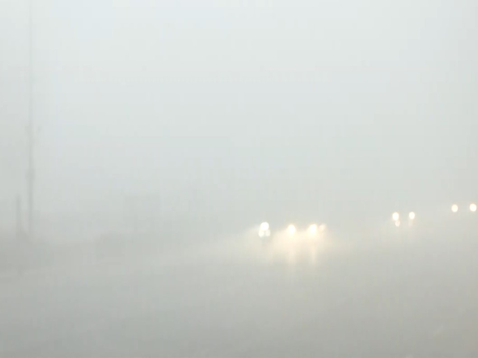 Visuals of thick smog in Kartavya Path (Photo/ANI) Visuals of thick smog in Kartavya Path (Photo/ANI)