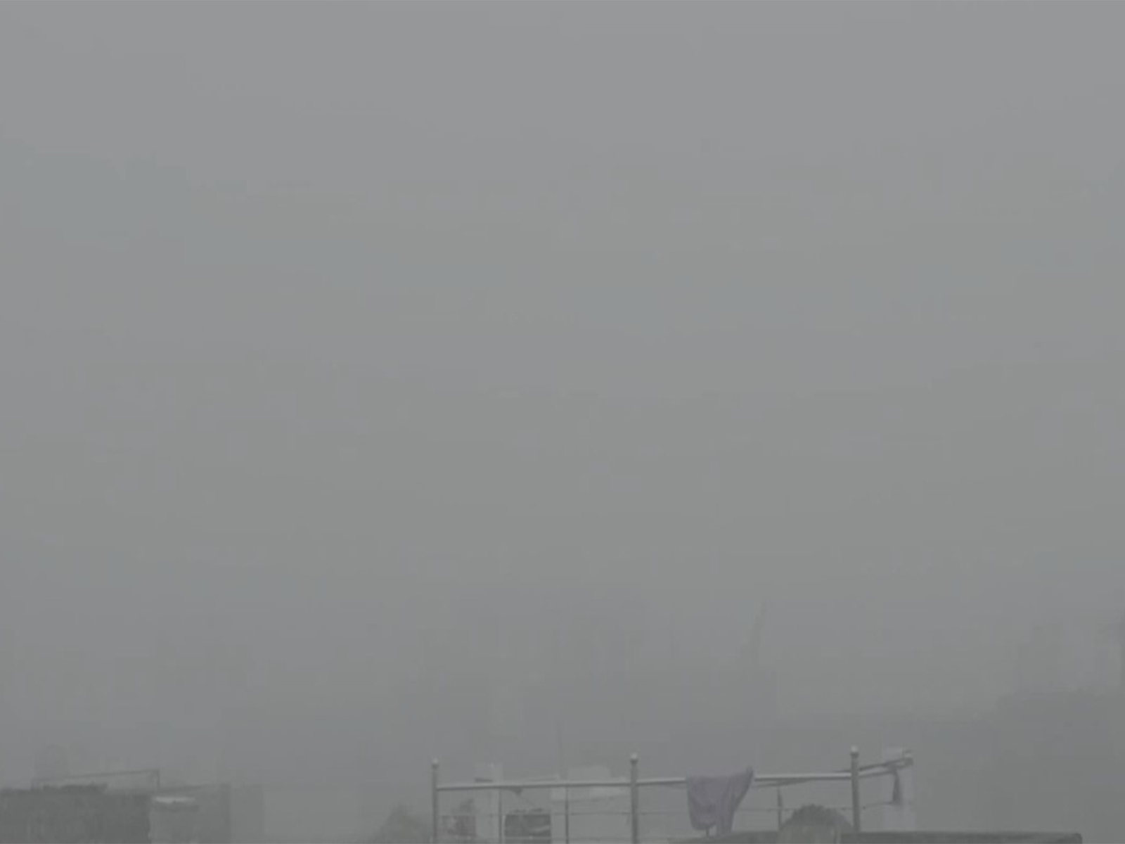 Visuals of fog at Dholpur (Photo/ANI) Visuals of fog at Dholpur (Photo/ANI)