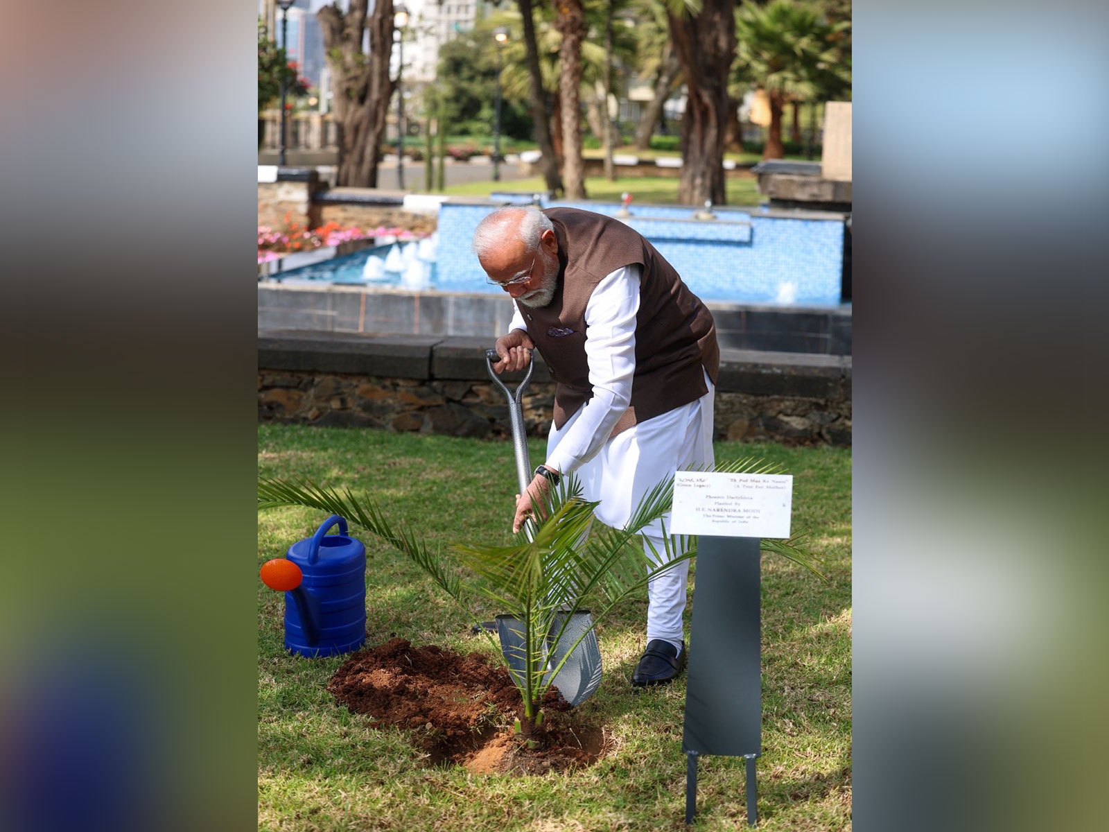 PM Modi plants tree at Parliament (Photo:X/MEA)