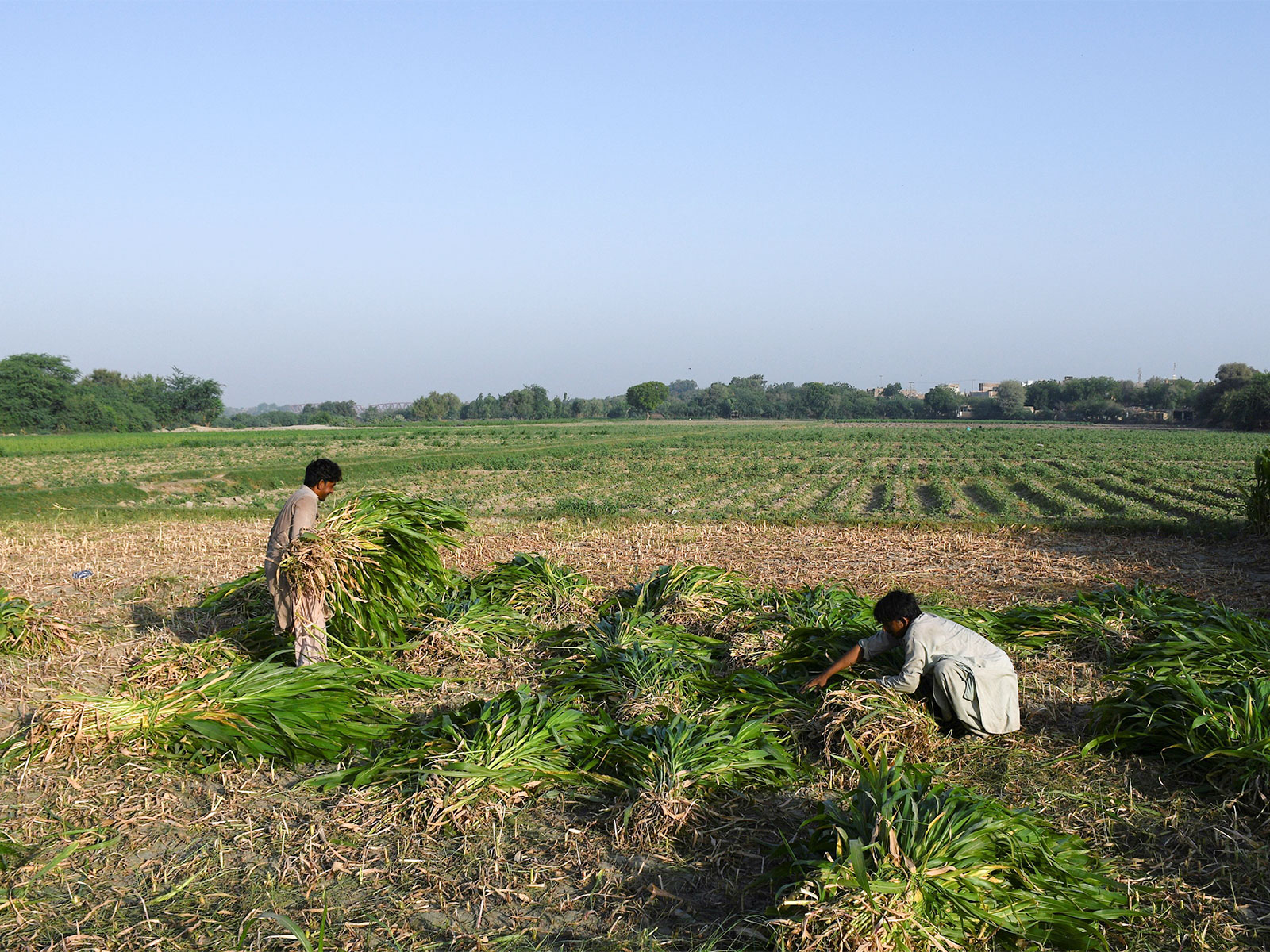 Representative Image (Photo/Reuters)