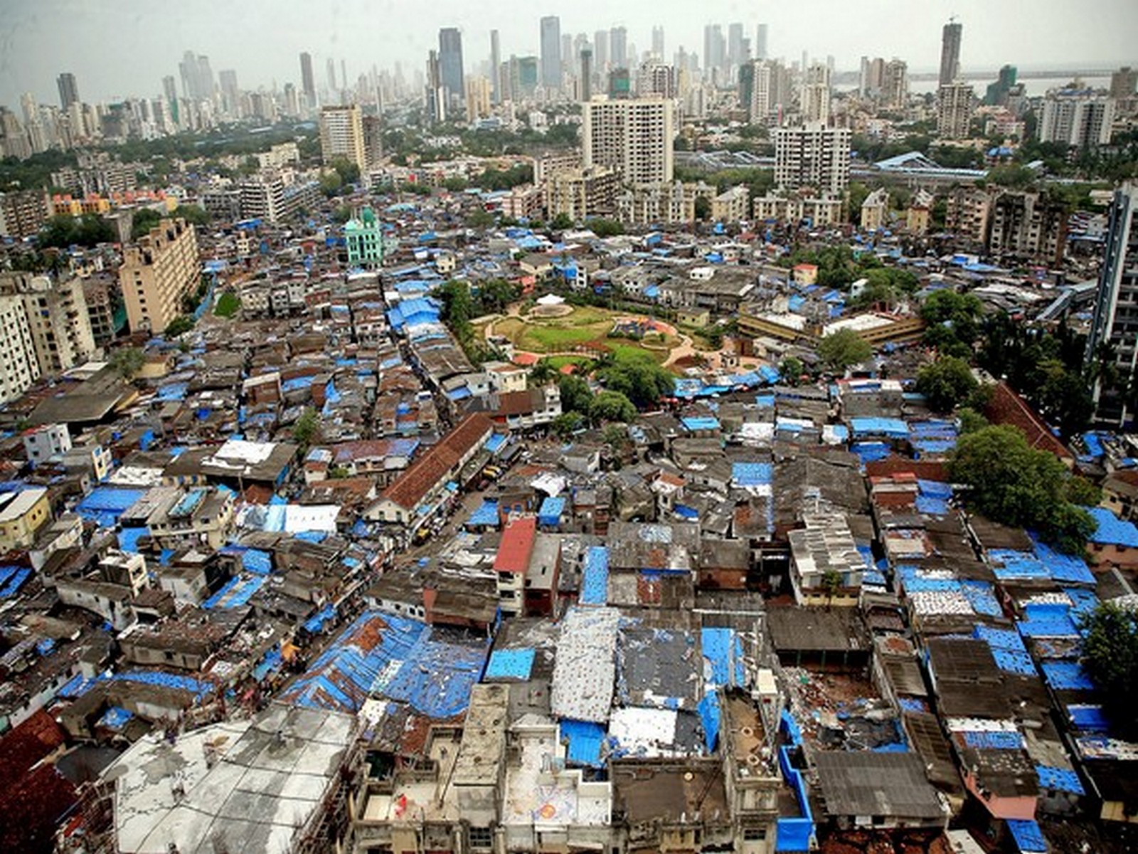 Mumbai's Dharavi locality (File Photo/ANI)