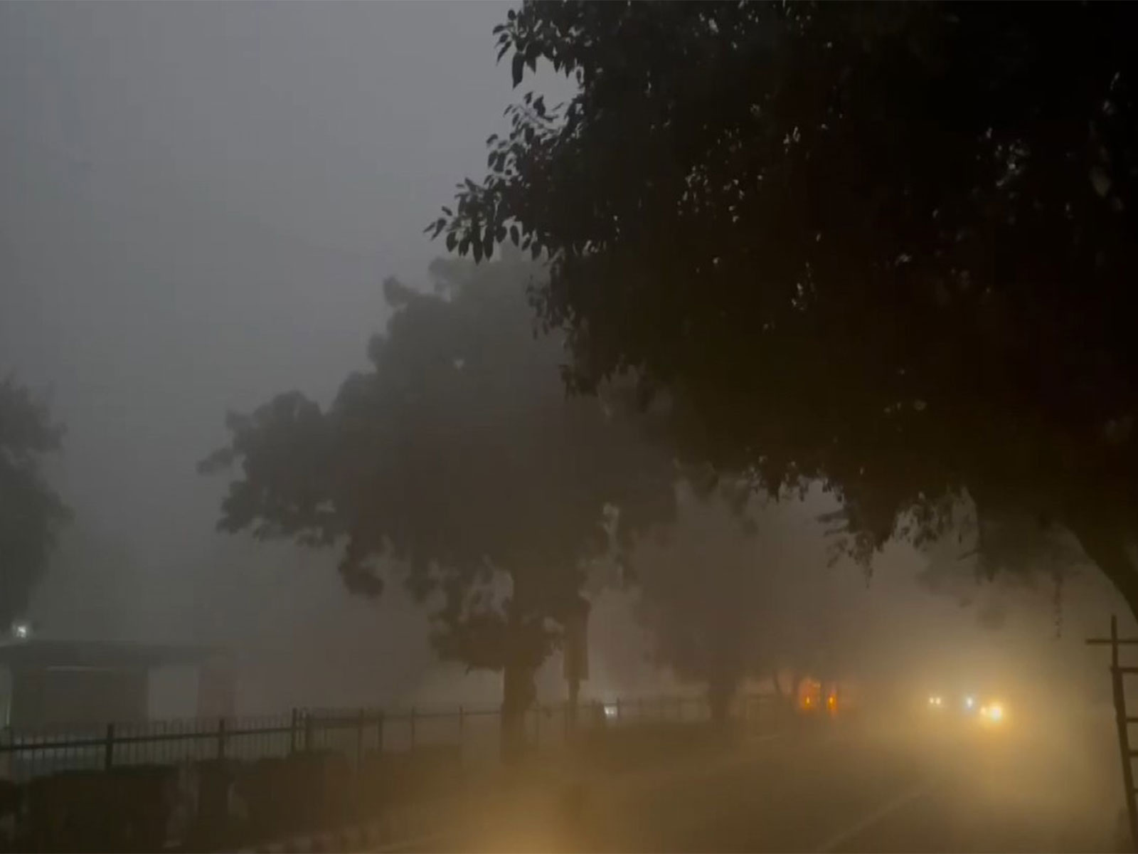 Thick fog engulfs Dwarka (Photo/ANI)