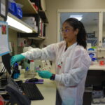 Rural America relies on foreign doctors. Trump’s visa fee shuts them out