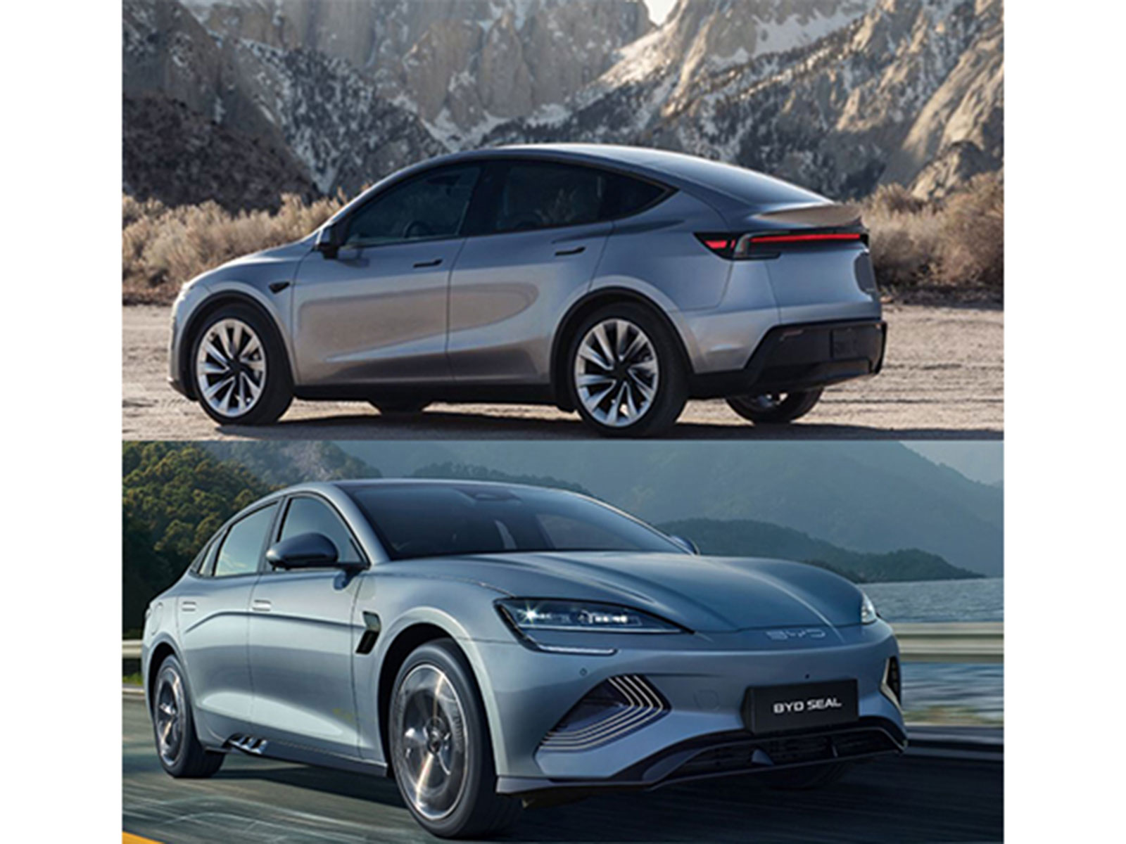 Representative Image (Photo source: Tesla and BYD website) Representative Image (Photo source: Tesla and BYD website)