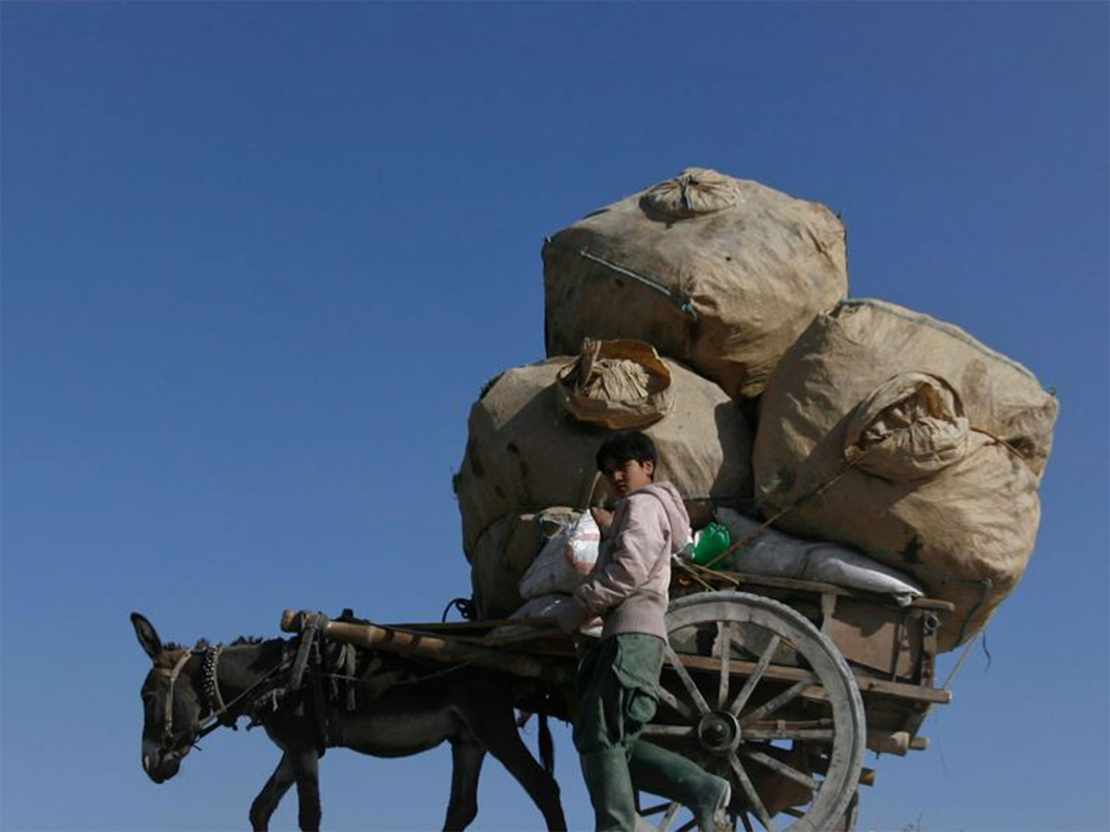 Representative Image (Photo/ANI) Representative Image (Photo/ANI)