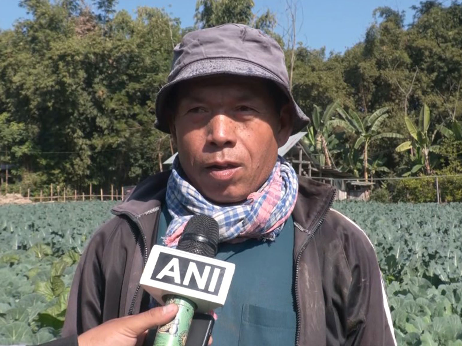 Vegetable Farmer Ningthoujam Inaocha (Photo/ANI)