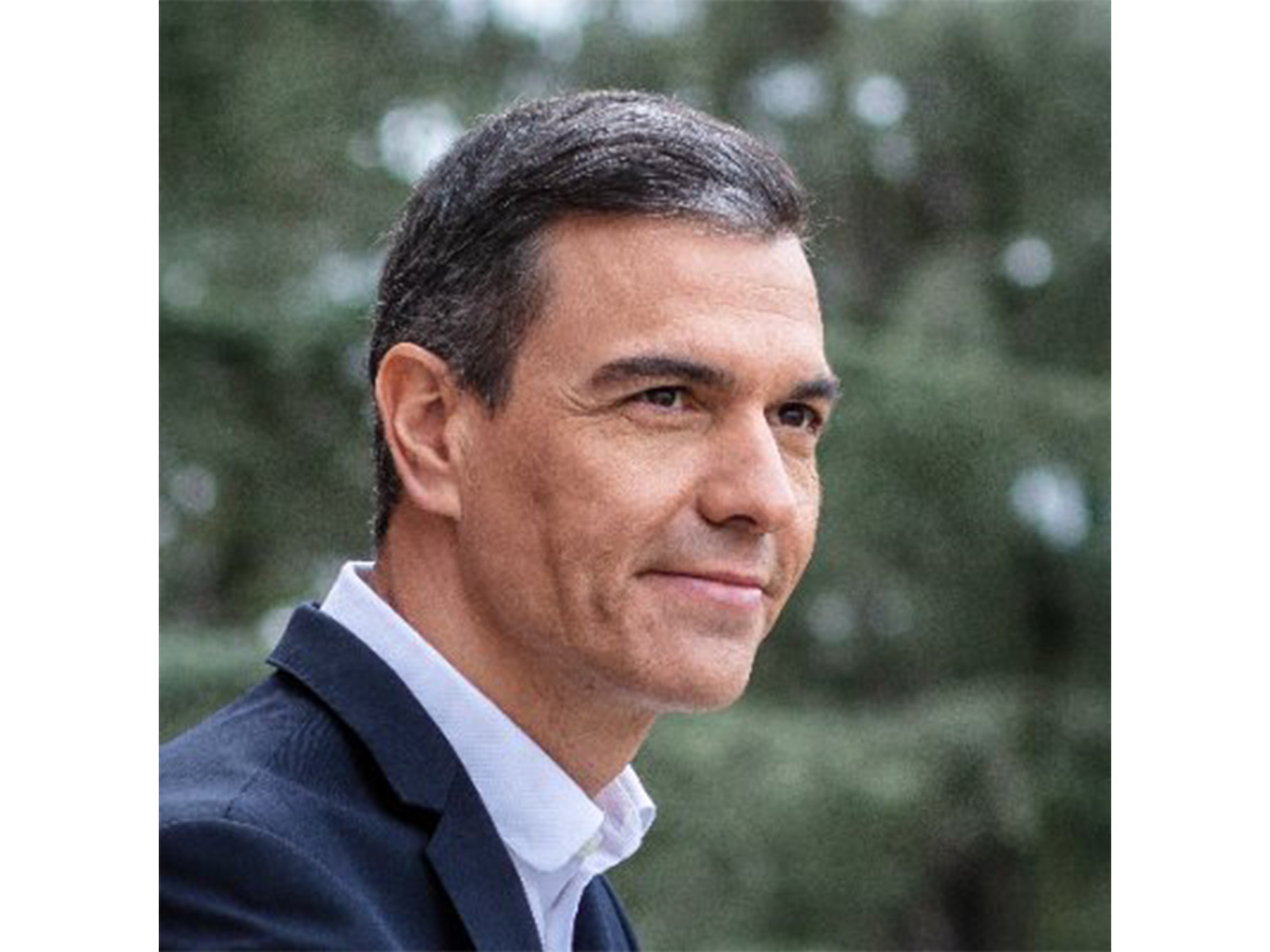 Prime Minister of Spain Pedro Sanchez(Photo:X/@sanchezcastejon)