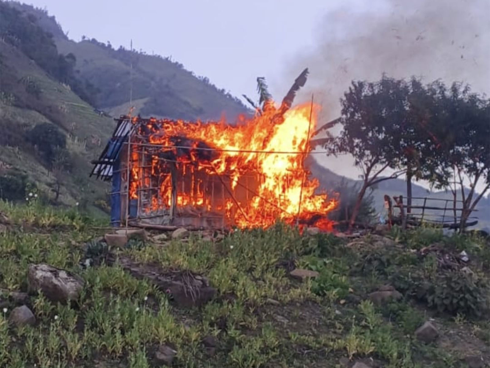 Poppy cultivation destroyed in Manipur's Kangpokpi (Photo Credit: Manipur Police)