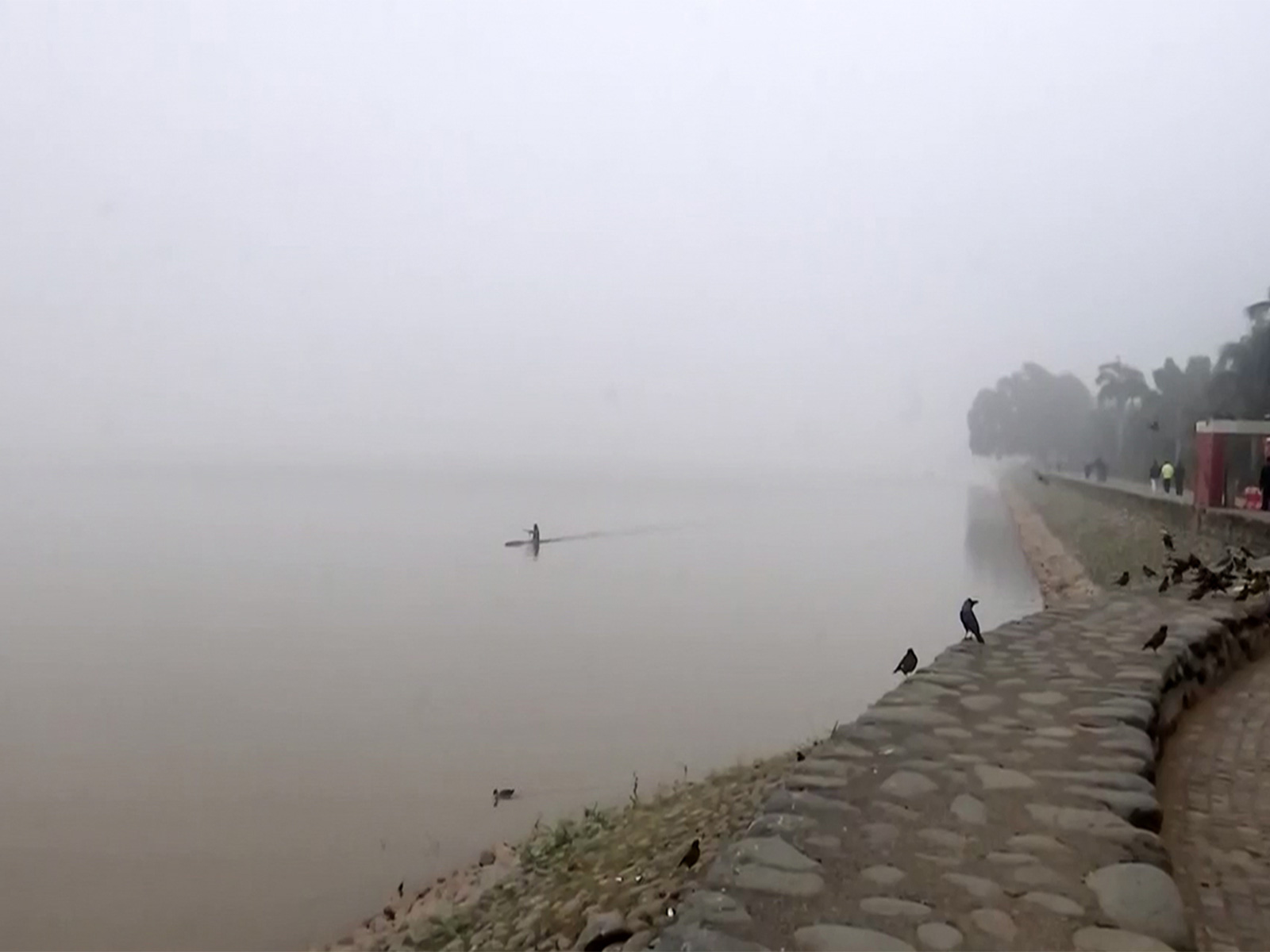 Foggy morning in Chandigarh amid cold waves (FilePhoto/ANI) Foggy morning in Chandigarh amid cold waves (FilePhoto/ANI)