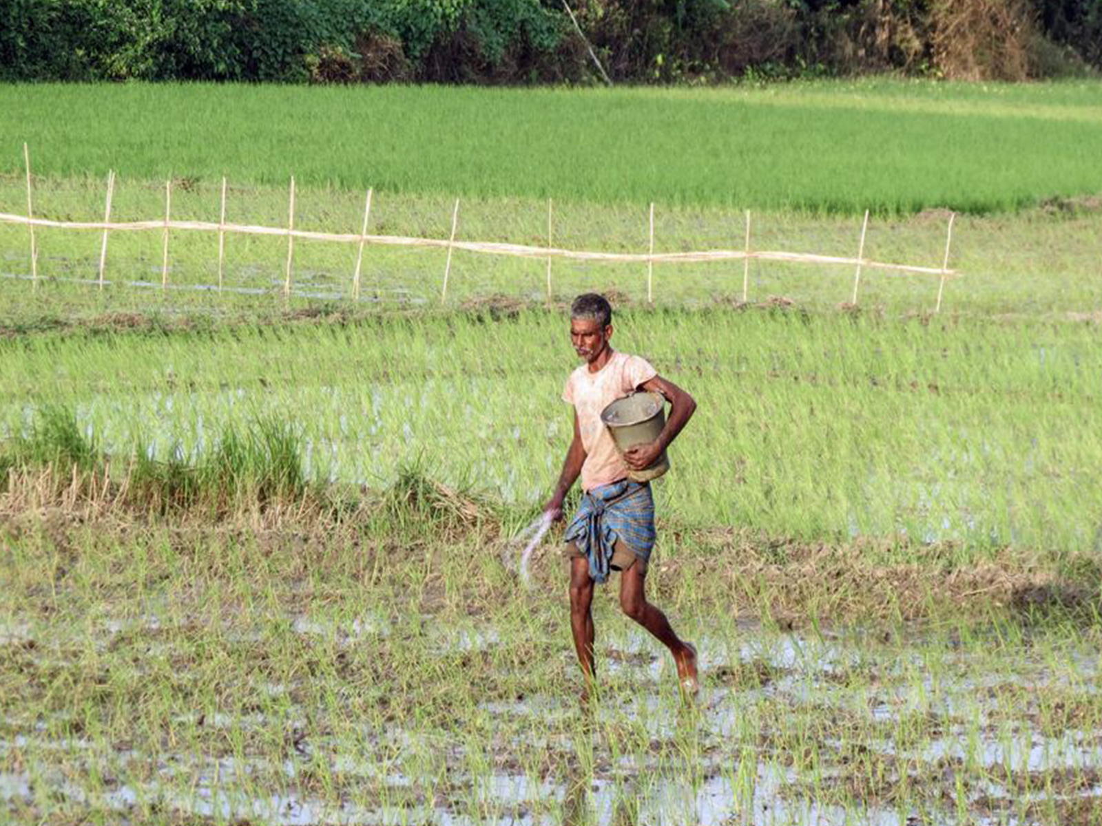 A farmer working in the field. (File Photo/ANI) A farmer working in the field. (File Photo/ANI)