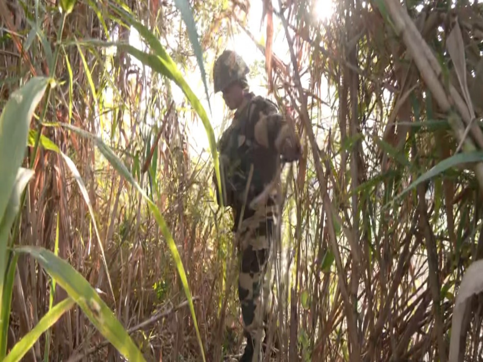 Search operation underway after arms consignment recovered in Samba (Photo/ANI)