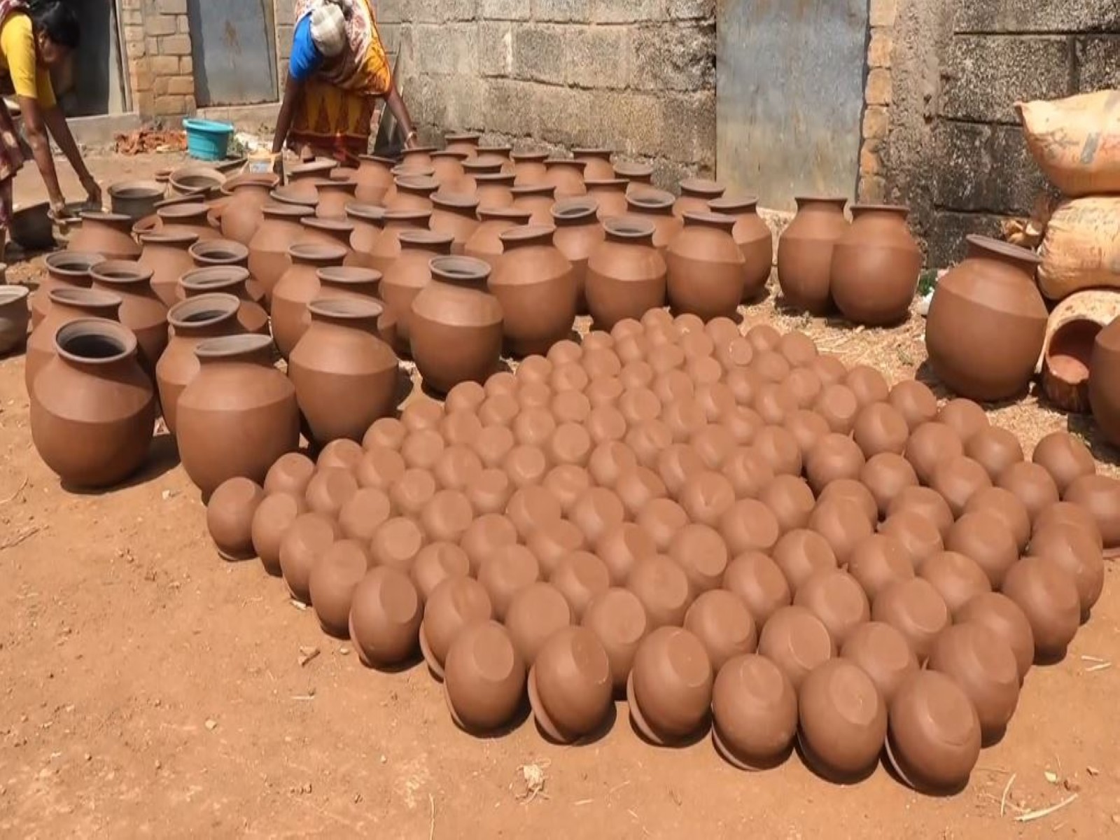 Pongal rush in Tamil Nadu's Poovanthi village (Photo/ANI)