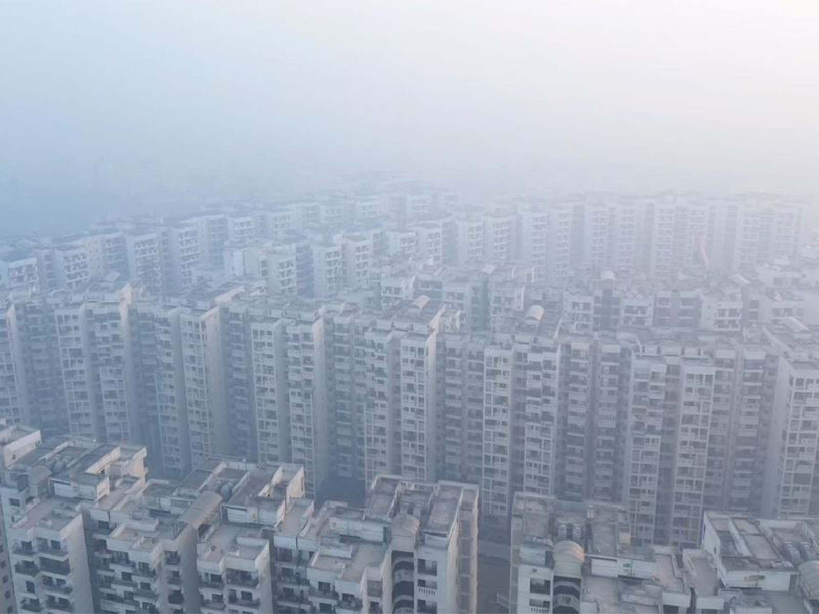 Visual from AIIMS as cold wave grips the national capital (Photo/ANI) Visual from AIIMS as cold wave grips the national capital (Photo/ANI)