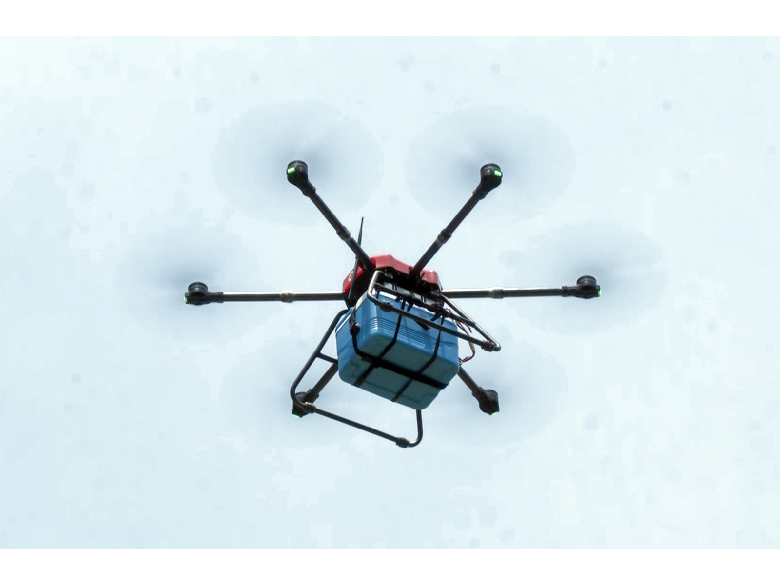 Representative Image (Photo/ANI)