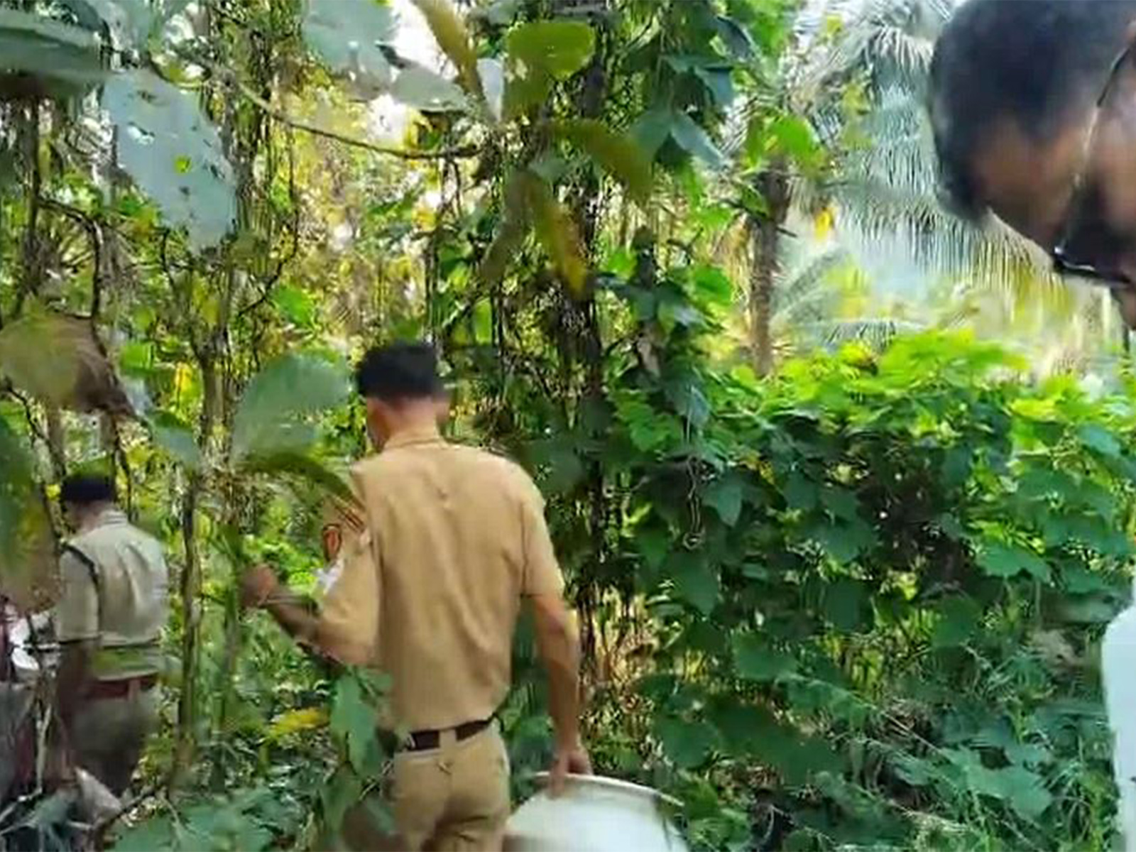 Kannur Excise Intelligence busts illicit liquor distillation unit in Alakode (Photo/Excise Department)