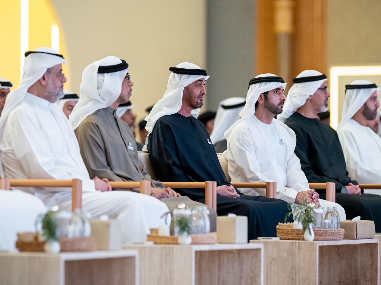 UAE President, sheikhs attend session marking Fourth Anniversary of Day of Solidarity (Photo/X@DXBMediaOffice) 