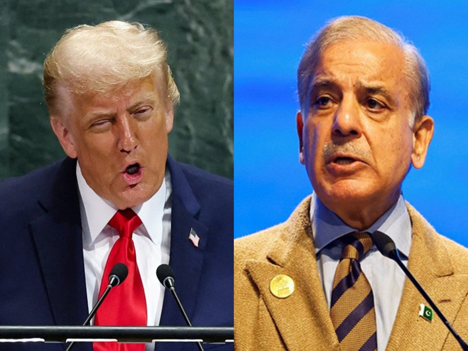 US President Donald Trump (left) and Pakistan's Prime Minister Shehbaz Sharif (File Photo/Reuters)