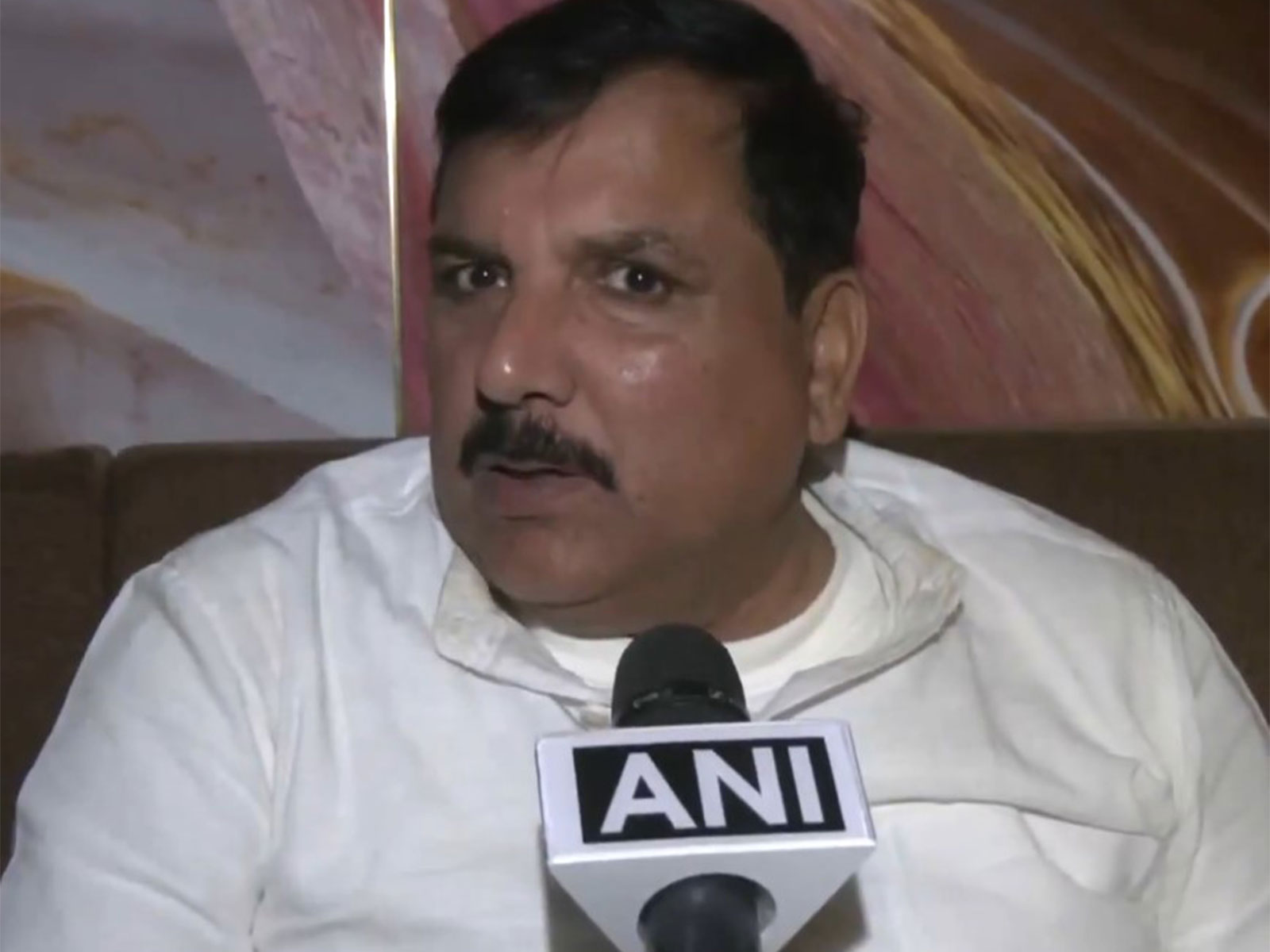 Aam Aadmi Party (AAP) MP Sanjay Singh (Photo/ANI)