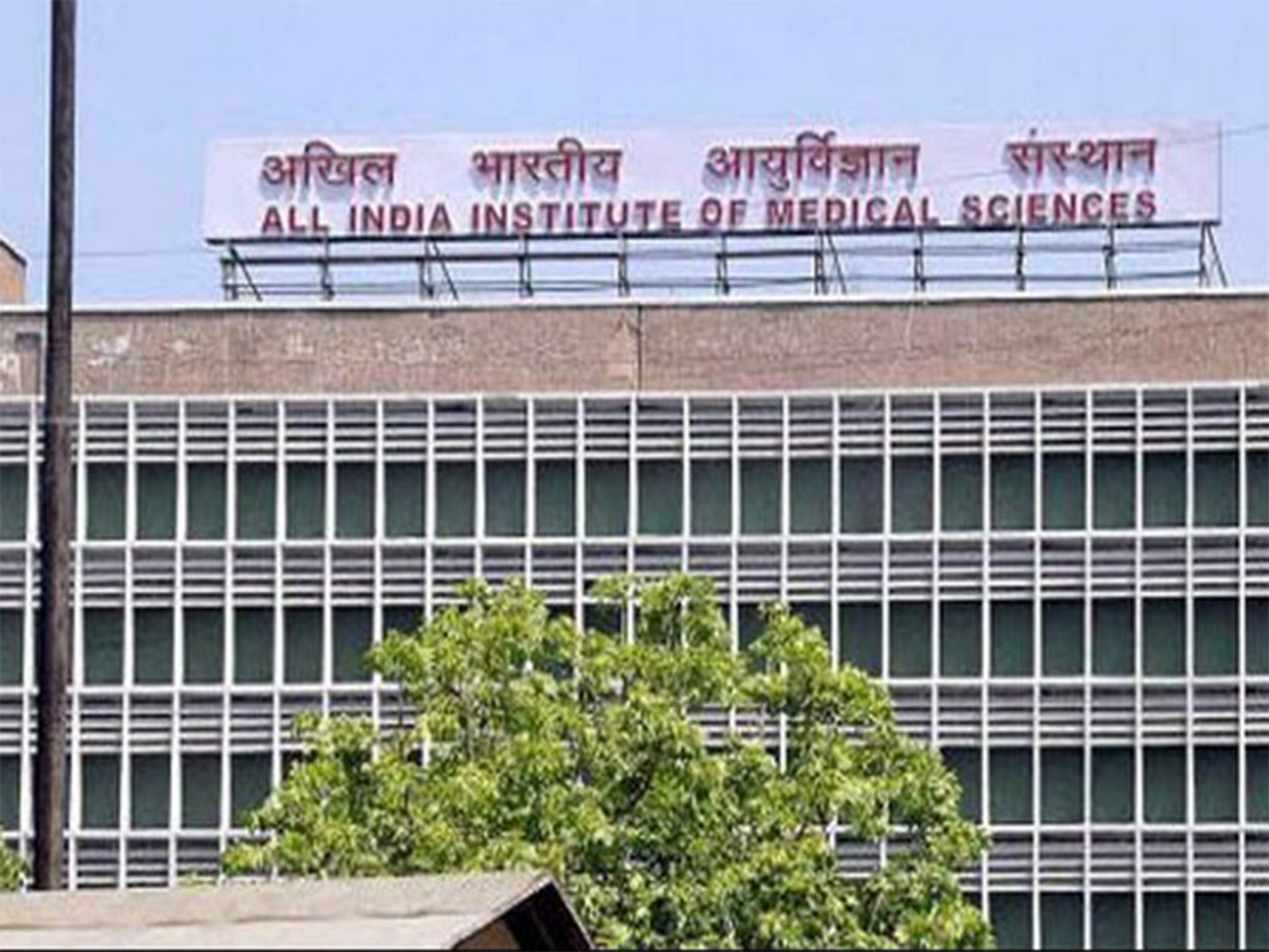 AIIMS Delhi (File Photo/ANI) AIIMS Delhi (File Photo/ANI)