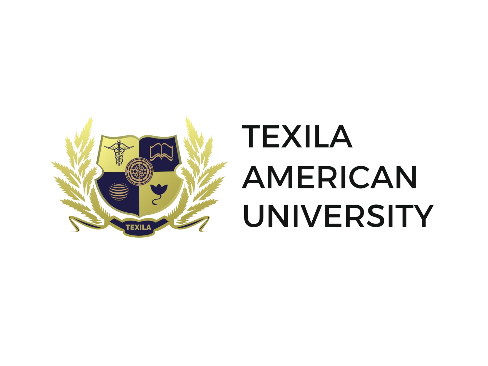 Inside Texila’s Approach to Accredited Medical Education in Guyana
