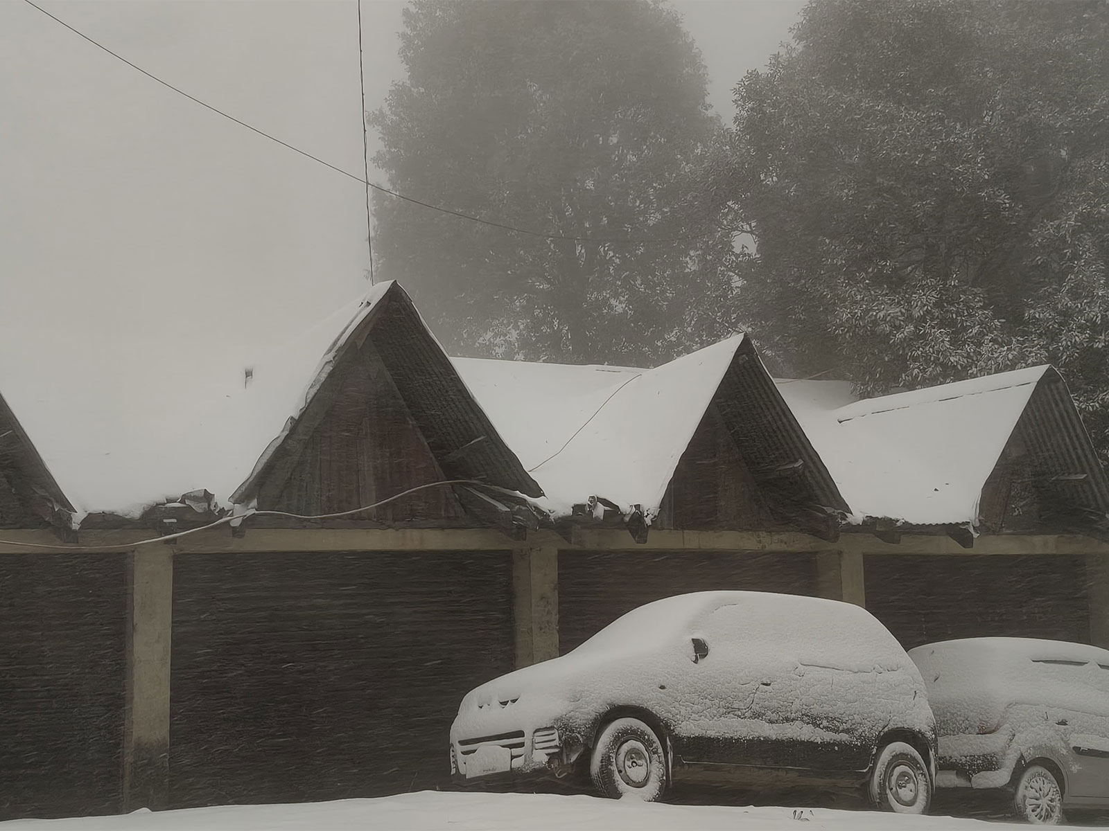 Heavy snowfall in Shimla, Himachal Pradesh on Friday morning. (Photo/ANI)