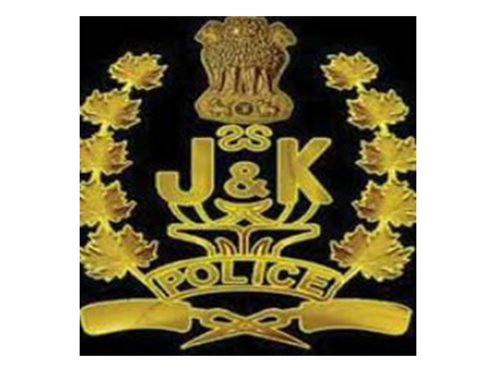 Representative Image (Photo/X@JmuKmrPolice) Representative Image (Photo/X@JmuKmrPolice)