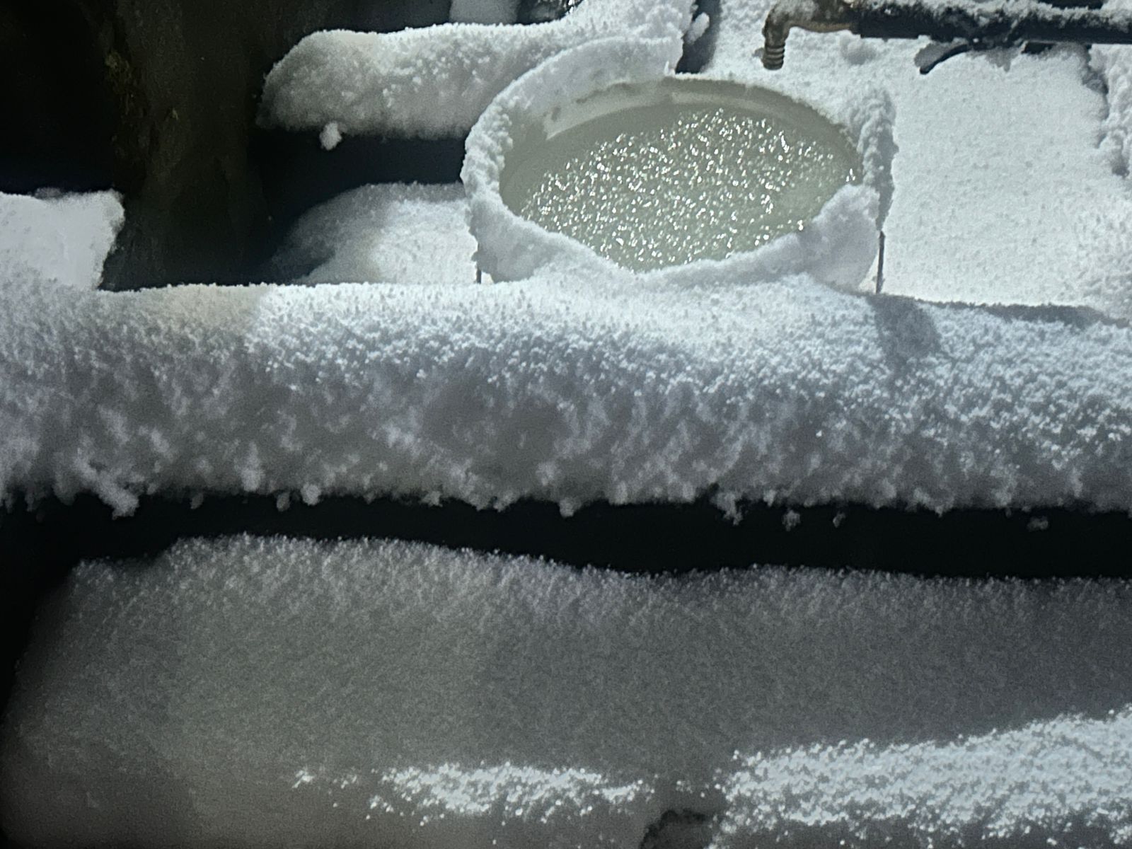 Visuals from Turan village of Shimla (Photo: ANI)