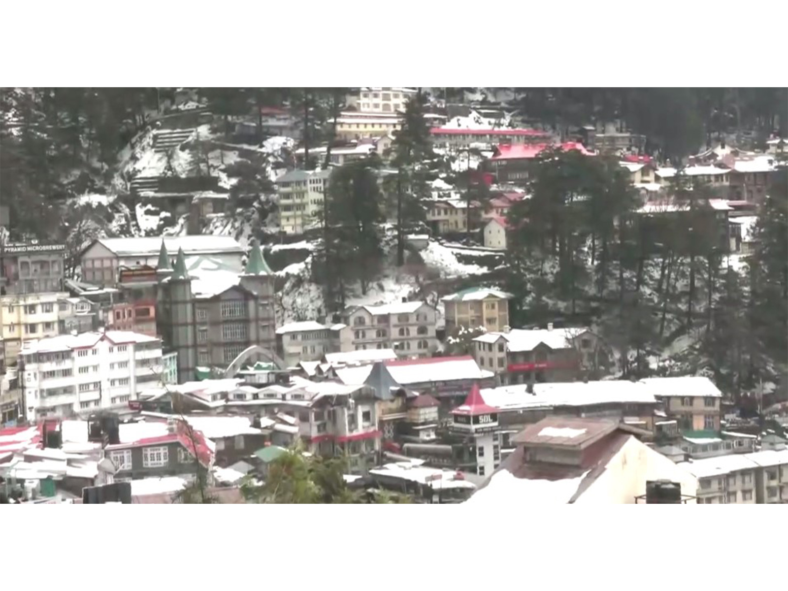 Visuals from Shimla (Photo/ANI) Visuals from Shimla (Photo/ANI)