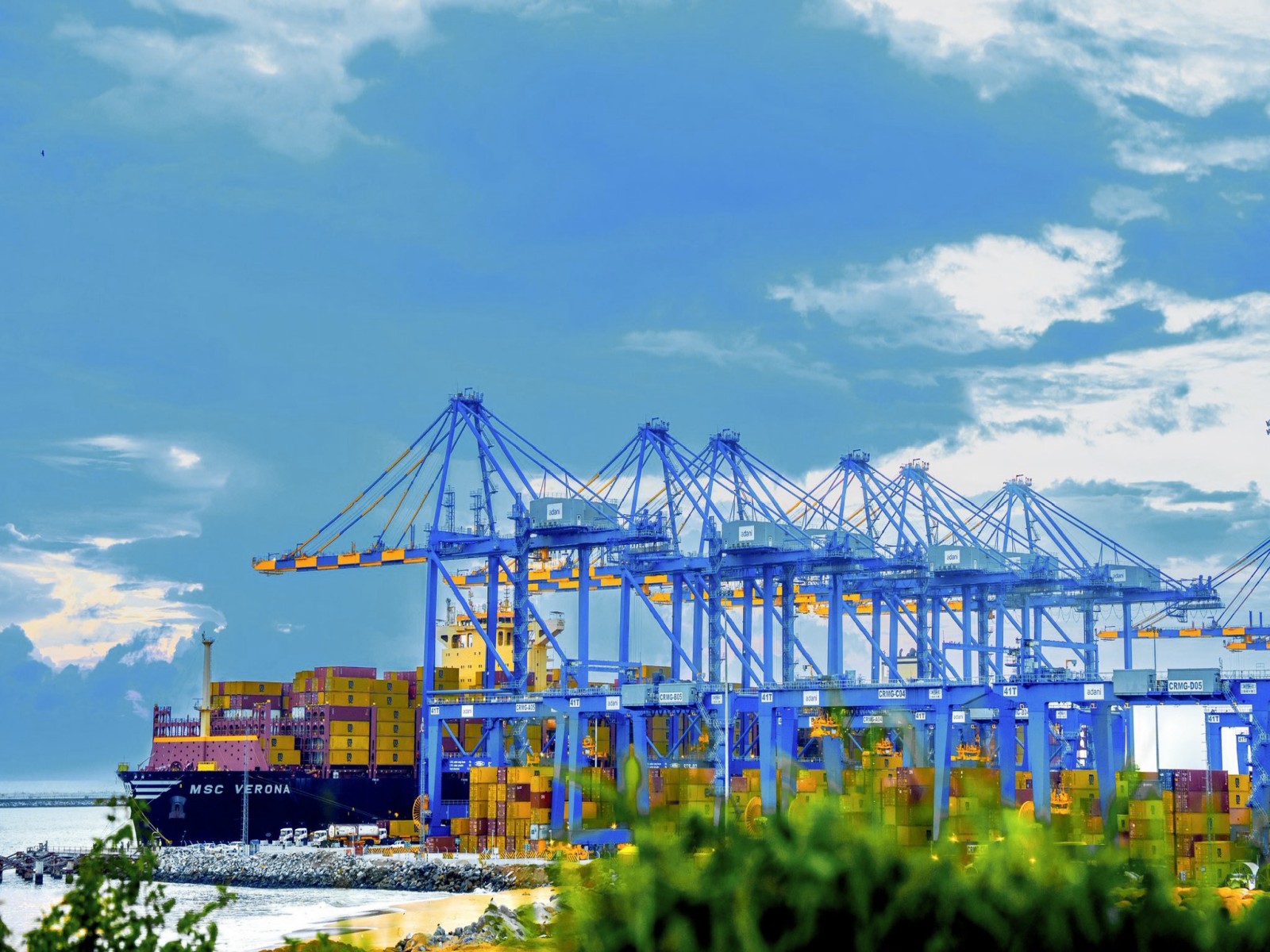 Representative Image (File Photo/ANI)