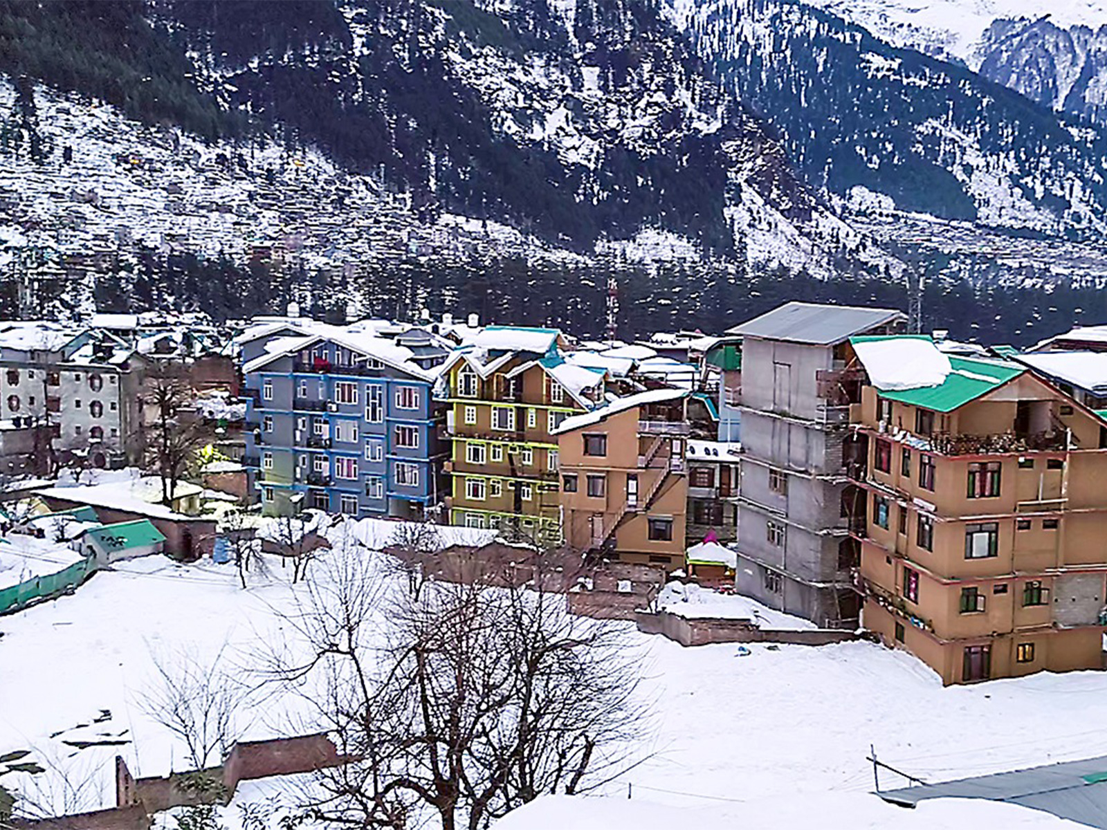 A view of a snow-covered landscape following a fresh spell of snowfall, in Manali (Photo/ANI) A view of a snow-covered landscape following a fresh spell of snowfall, in Manali (Photo/ANI)