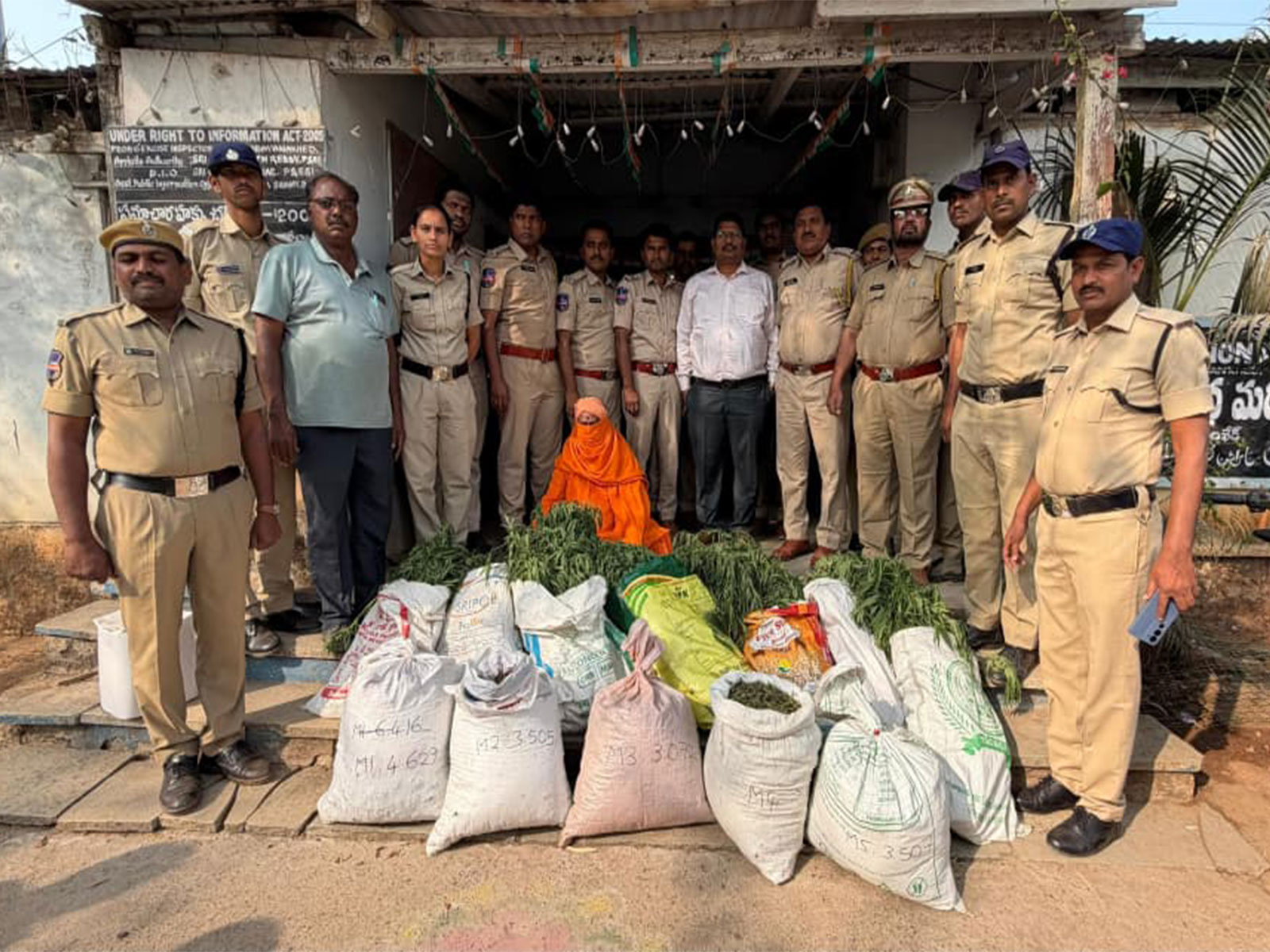 Excise police arrests 'Baba' for cultivating marijuana (Photo/ANI) Excise police arrests 'Baba' for cultivating marijuana (Photo/ANI)