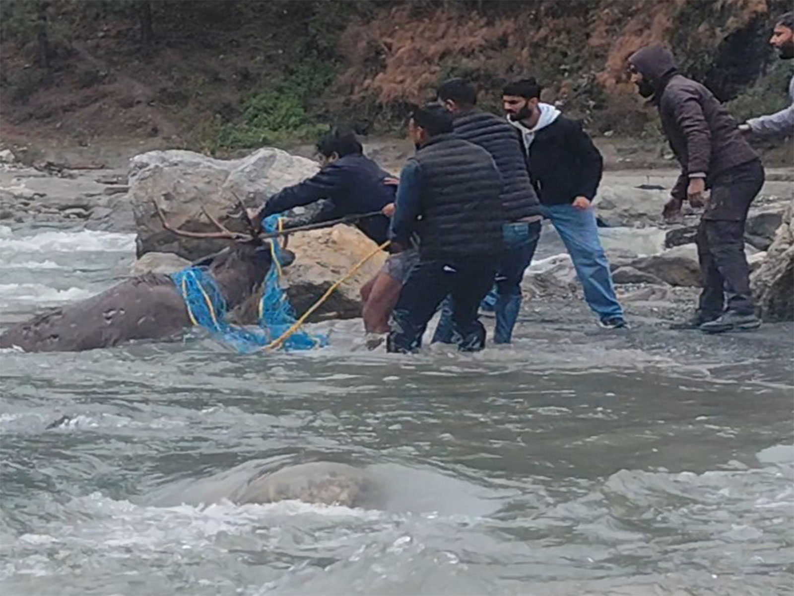 Visual from the incident (Photo/ANI)