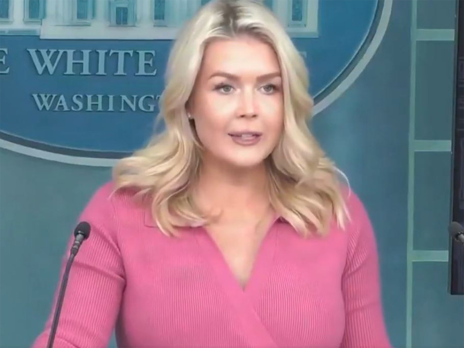 White House Press Secretary Karoline Leavitt (Photo/White House youtube)
