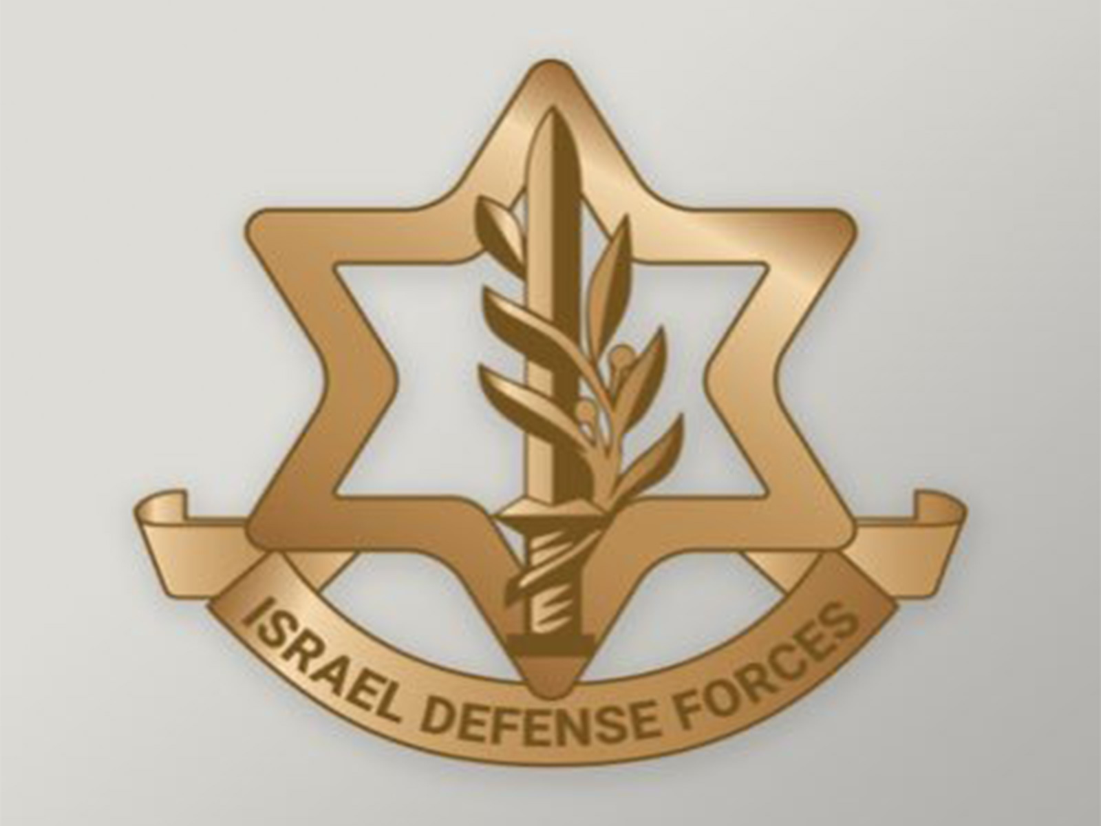 Representative Image (File Photo/X/@IDF)